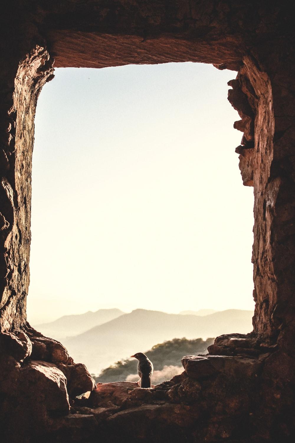 1000x1500 Brown Aesthetic Picture. Download Free Image