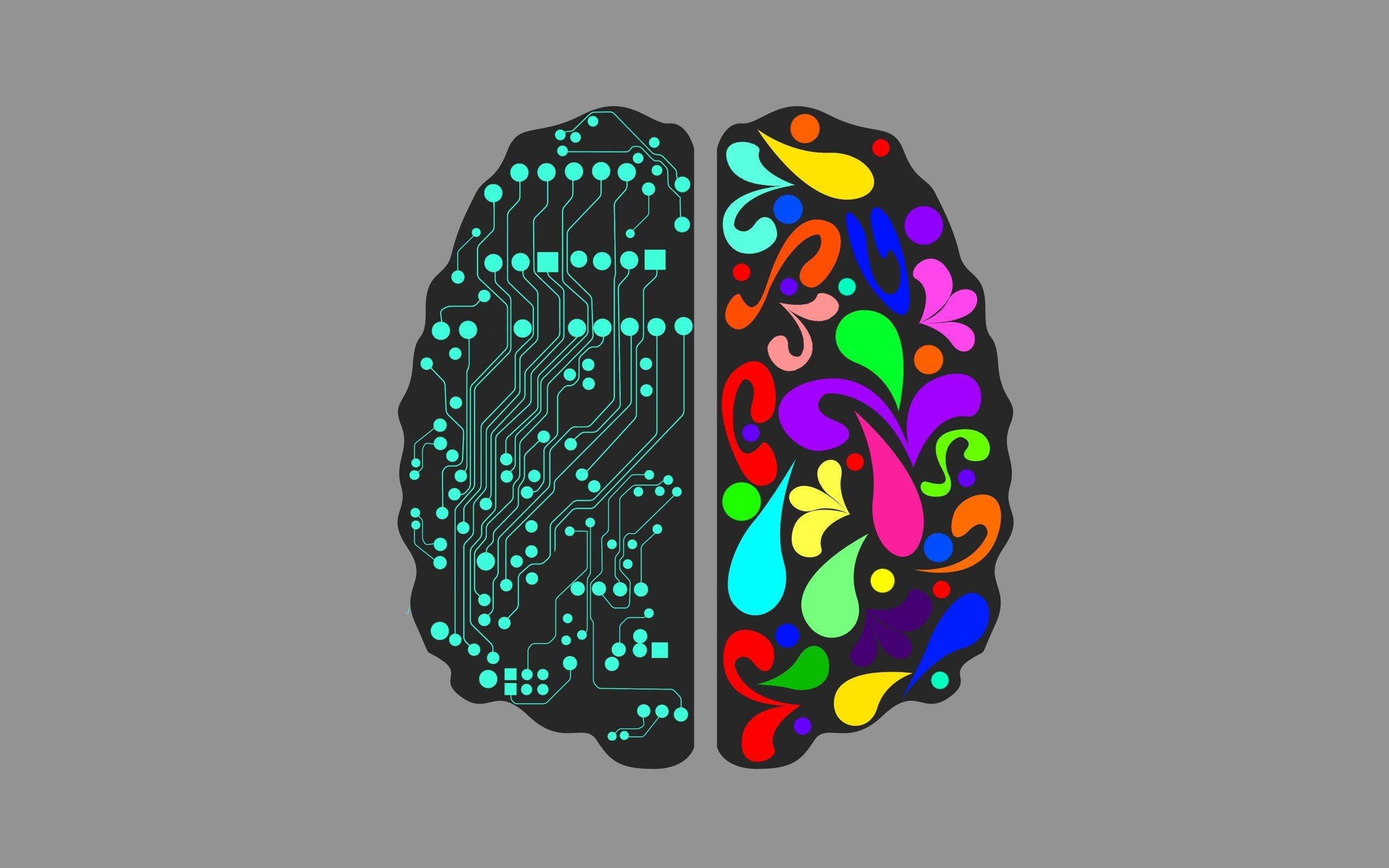 2560x1600 px Anatomy brain head Medical psychedelic skull High Quality Wallpaper, High Definition Wallpaper
