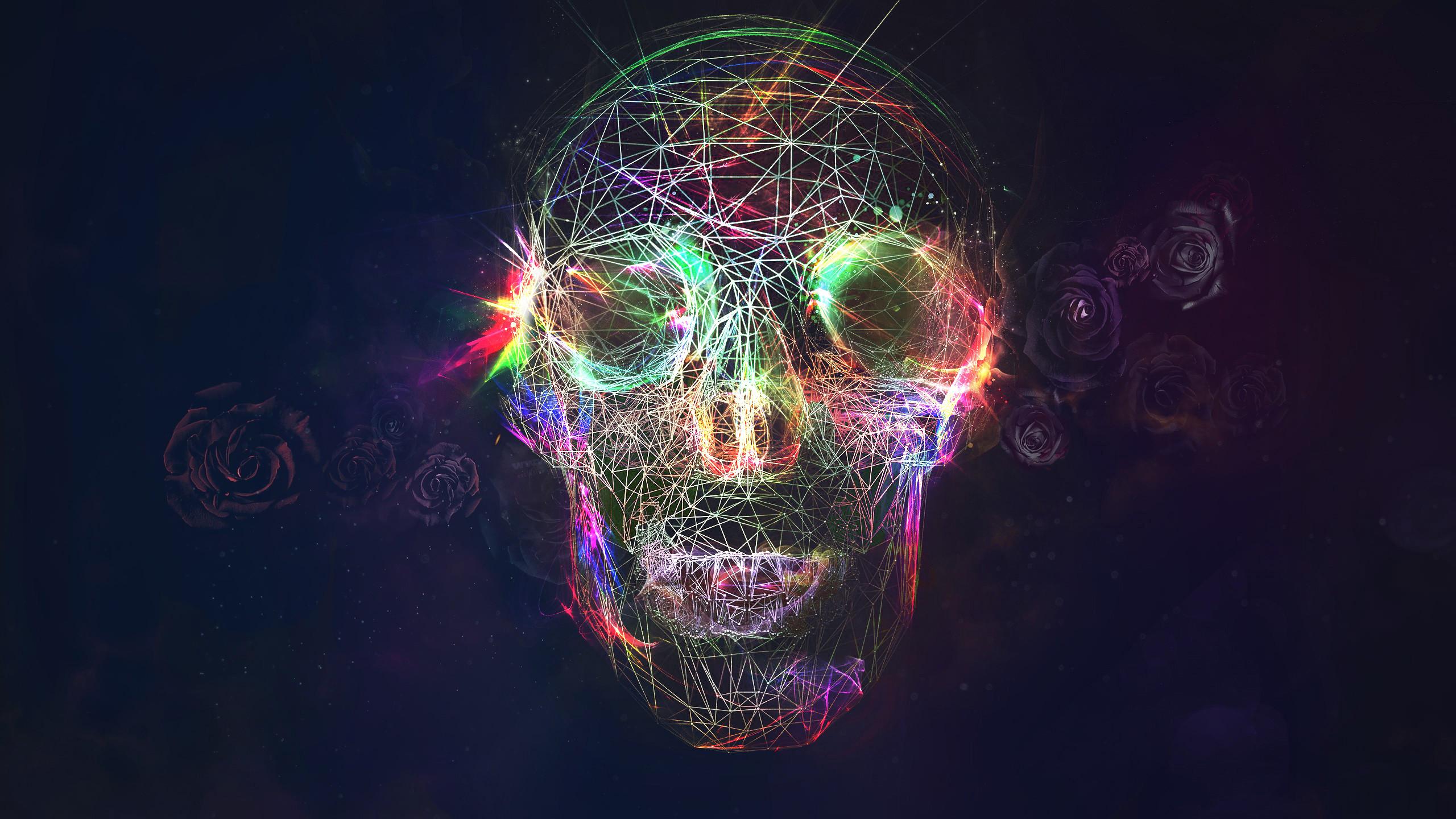 2560x1440 Skulls Background Wallpaper