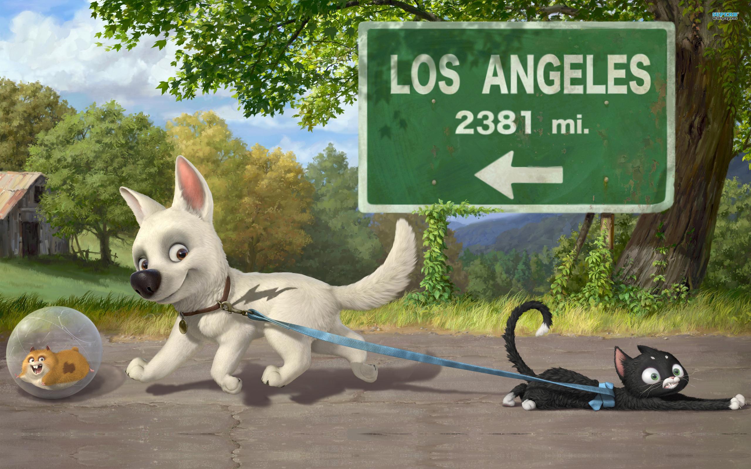 2560x1600 disney, Bolt, Dogs, Cartoons, 3D, Graphics, Cats Wallpaper HD / Desktop and Mobile Background