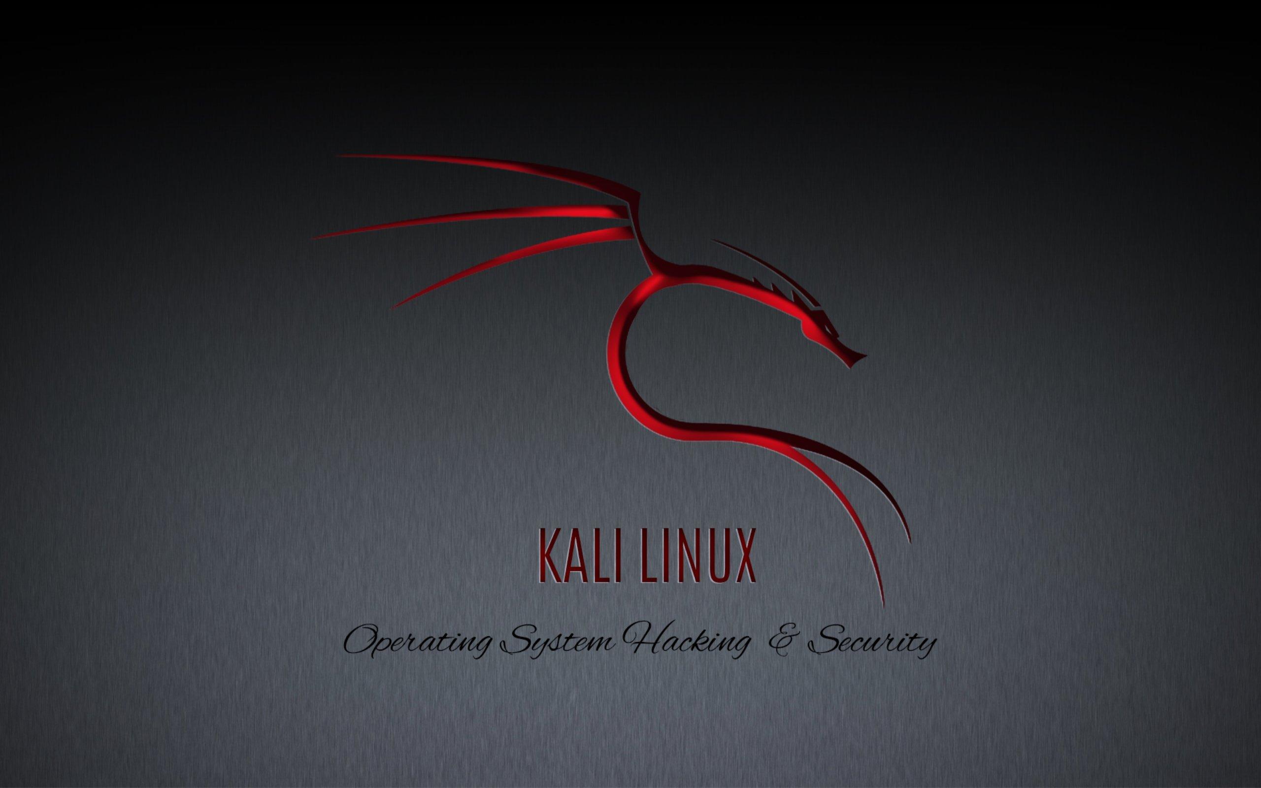 2560x1600 Kali Linux Wallpaper 1920x1080