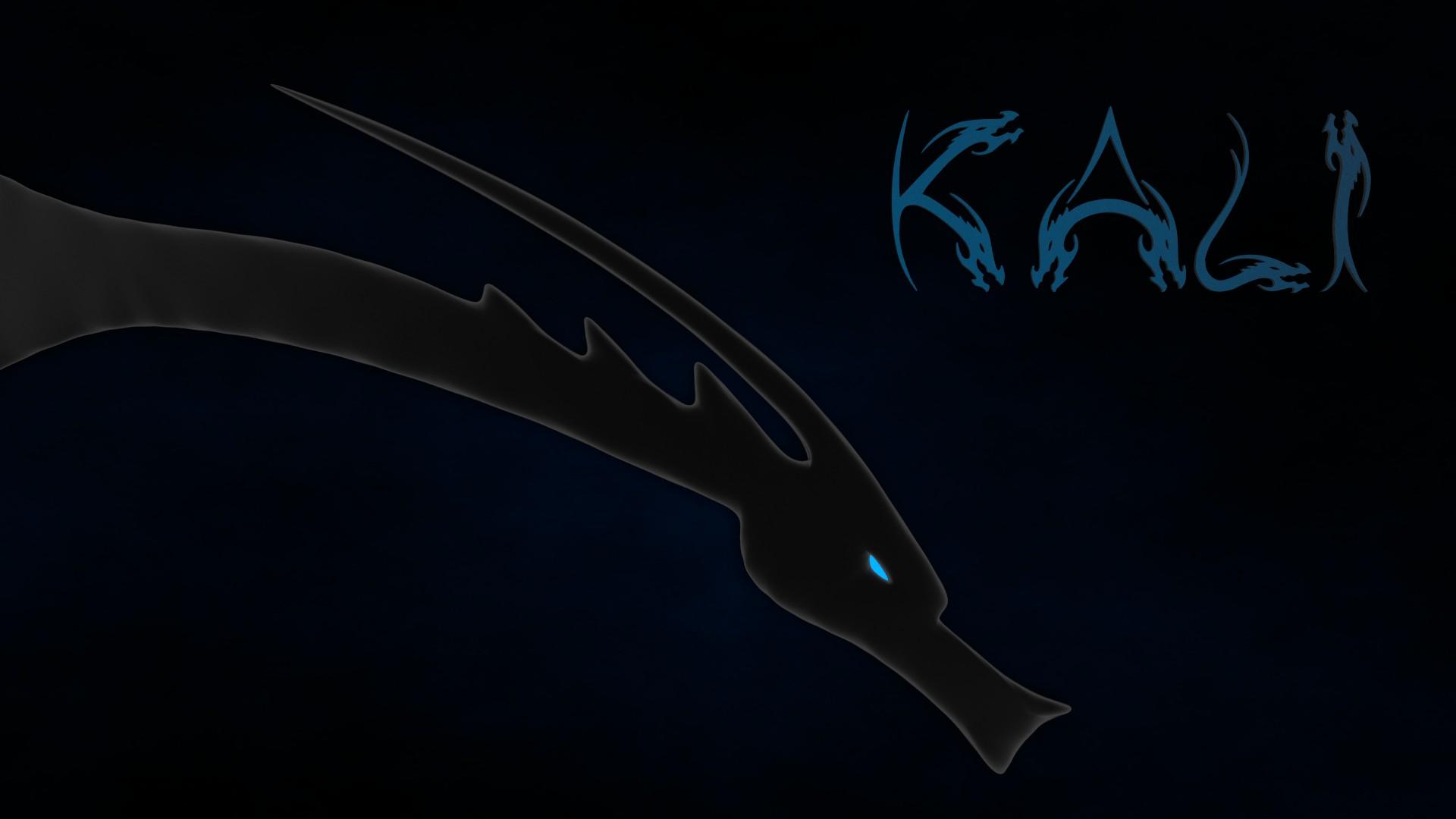 1920x1080 linux kali linux kali linux nethunter HD wallpaper, Background