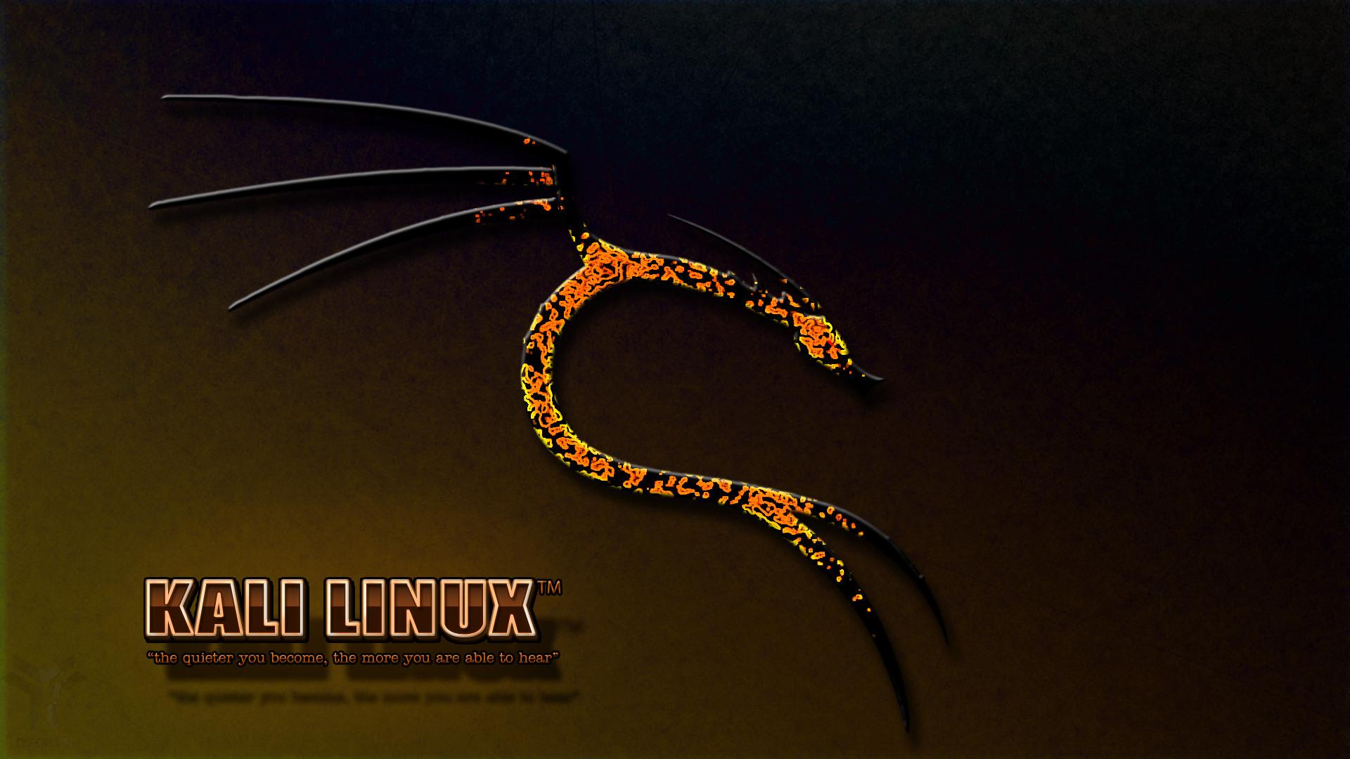 1920x1080 Kali Linux Wallpaper By Difortis Kali Linux Wallpaper