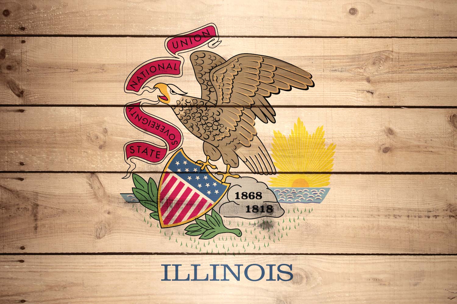 1500x1000 Flag of Illinois Texture it for free