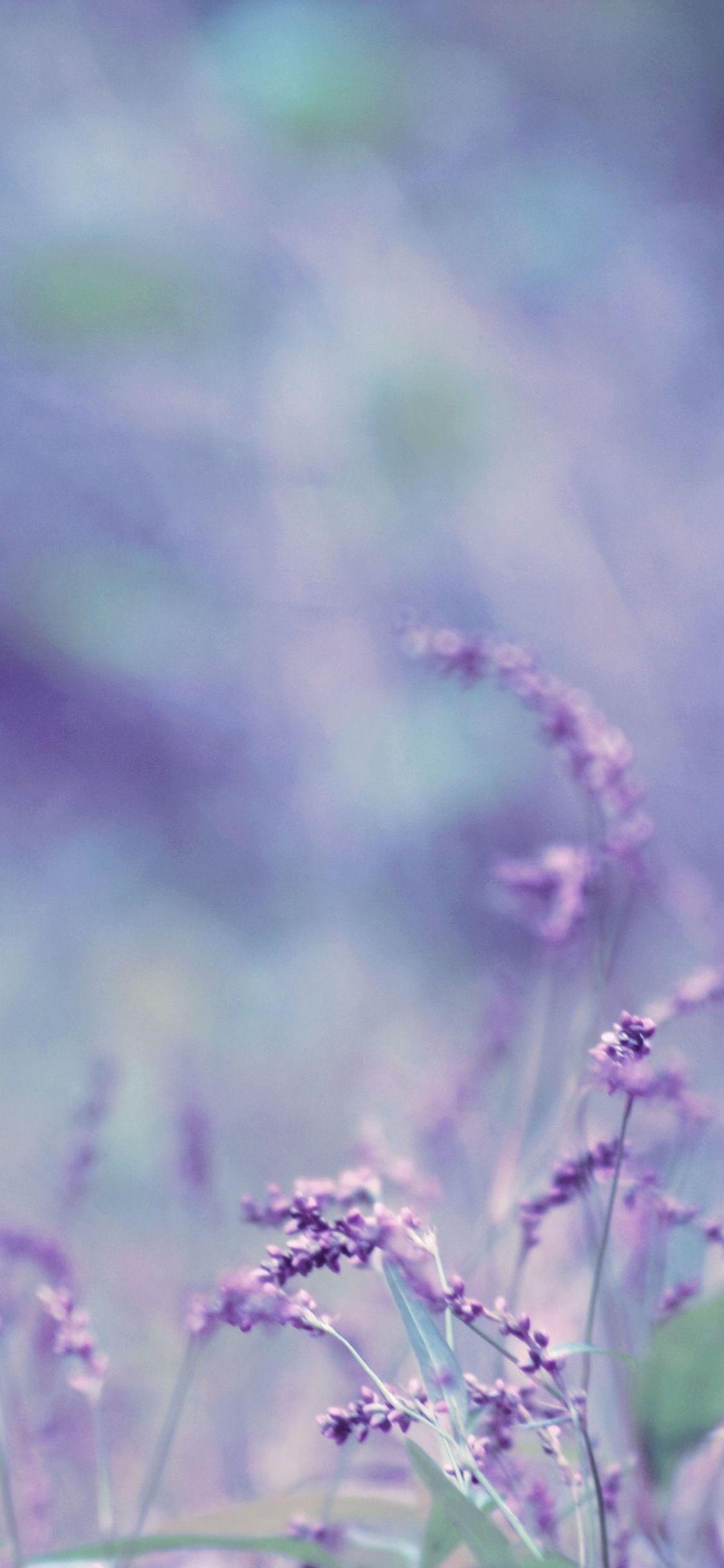 Lavender Phone Wallpapers - Top Free Lavender Phone Backgrounds ...