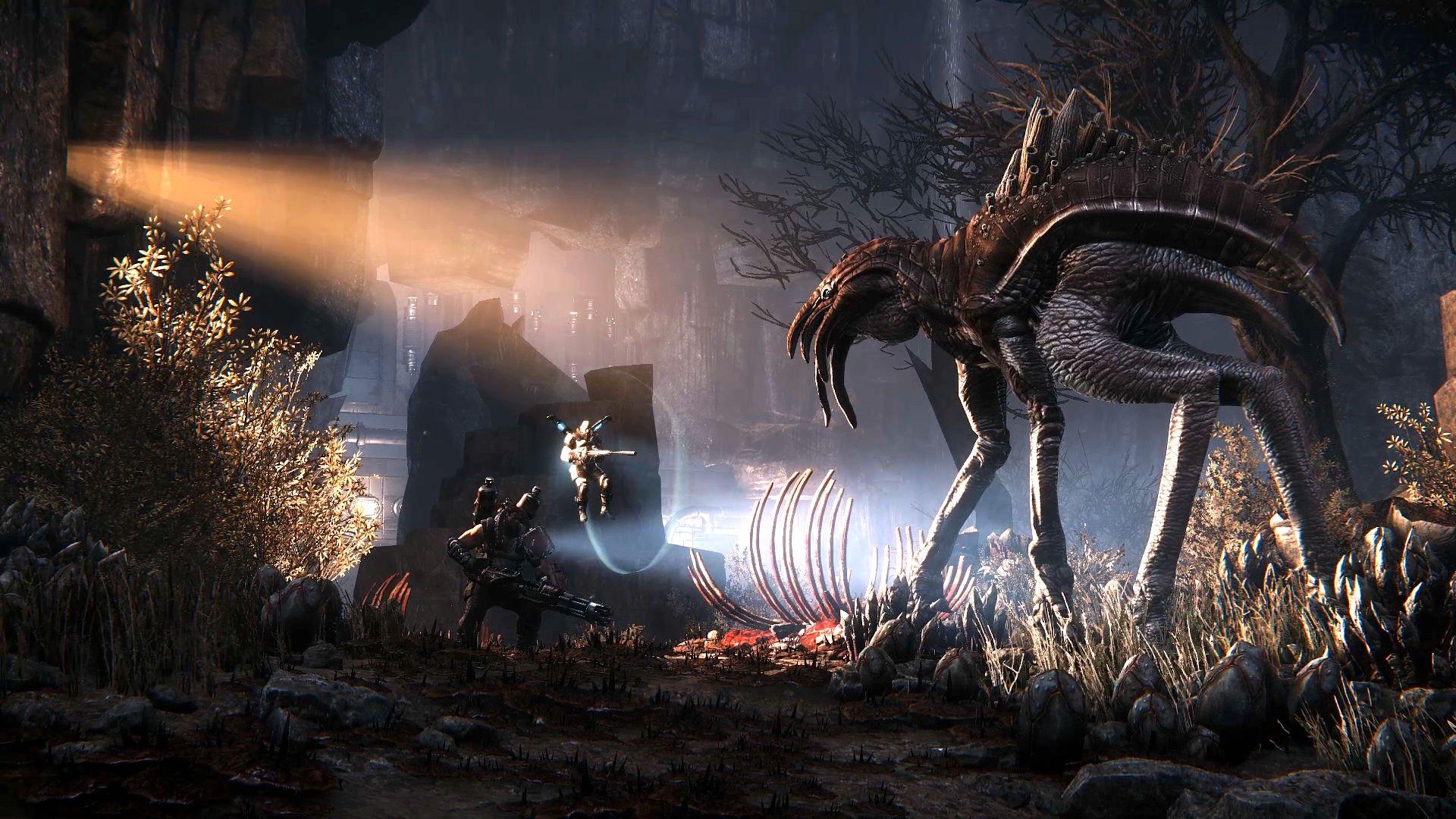 1920x1080 Awesome Evovle Wallpaper 42053 1920x1080px