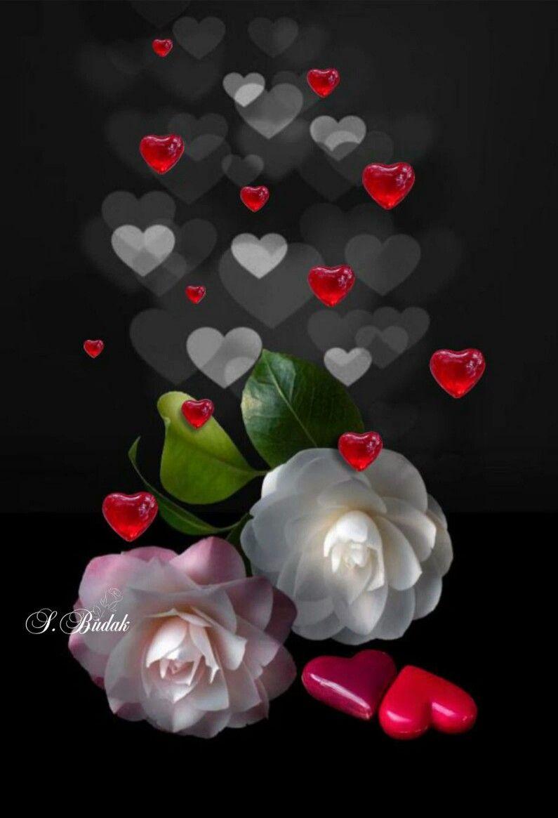 Beautiful Heart Flowers Wallpapers Top Free Beautiful Heart Flowers
