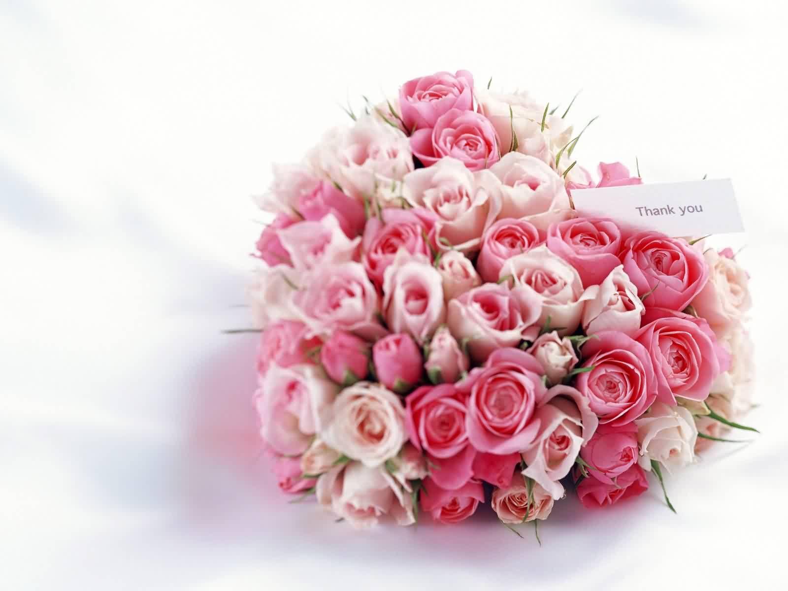 1600x1200 Free download Download Flowers wallpaper cute flower z heart [1600x1200] for your Desktop, Mobile & Tablet. Explore Cute Flower Wallpaper. Beautiful Flowers Wallpaper for Desktop, Beautiful Flower Image Wallpaper