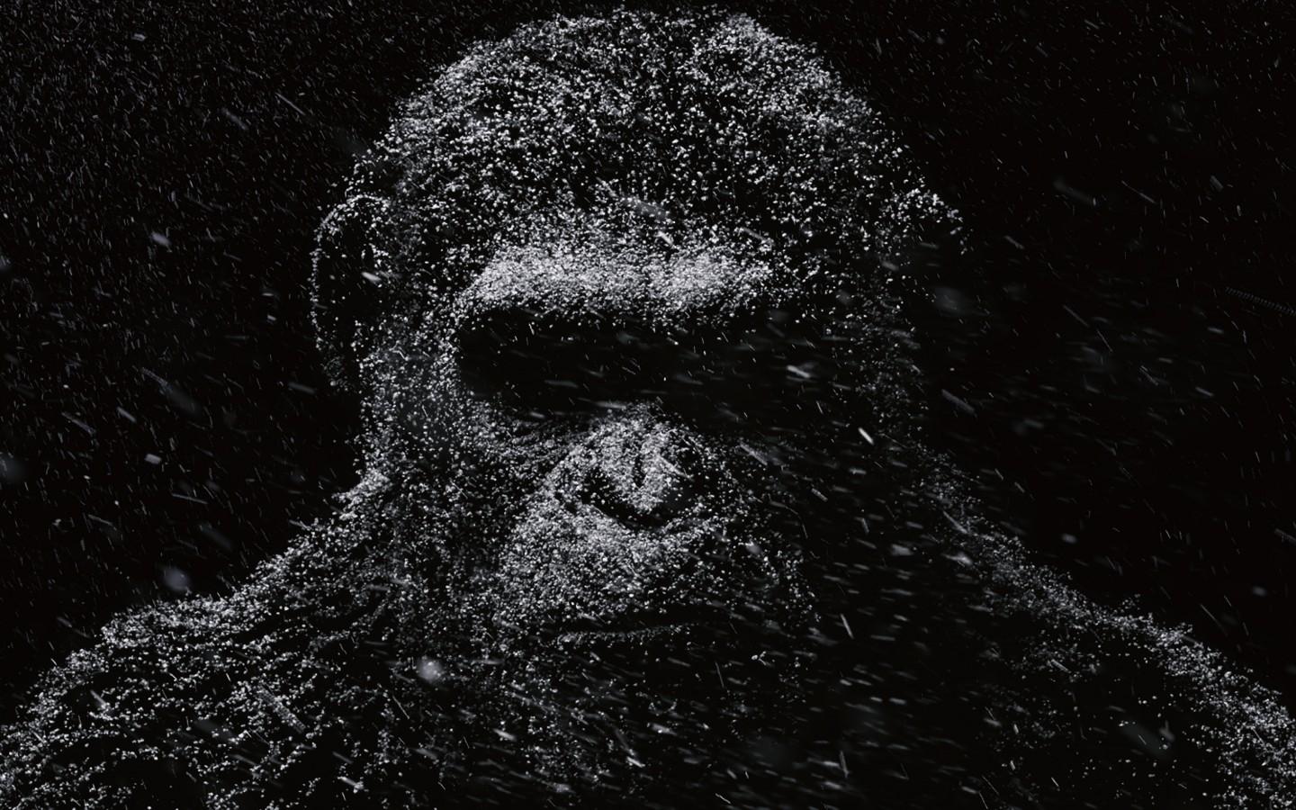 1440x900 Caesar War for the Planet of the Apes 4K Wallpaper 1440x900 Hot Desktop and background for your PC and mobile