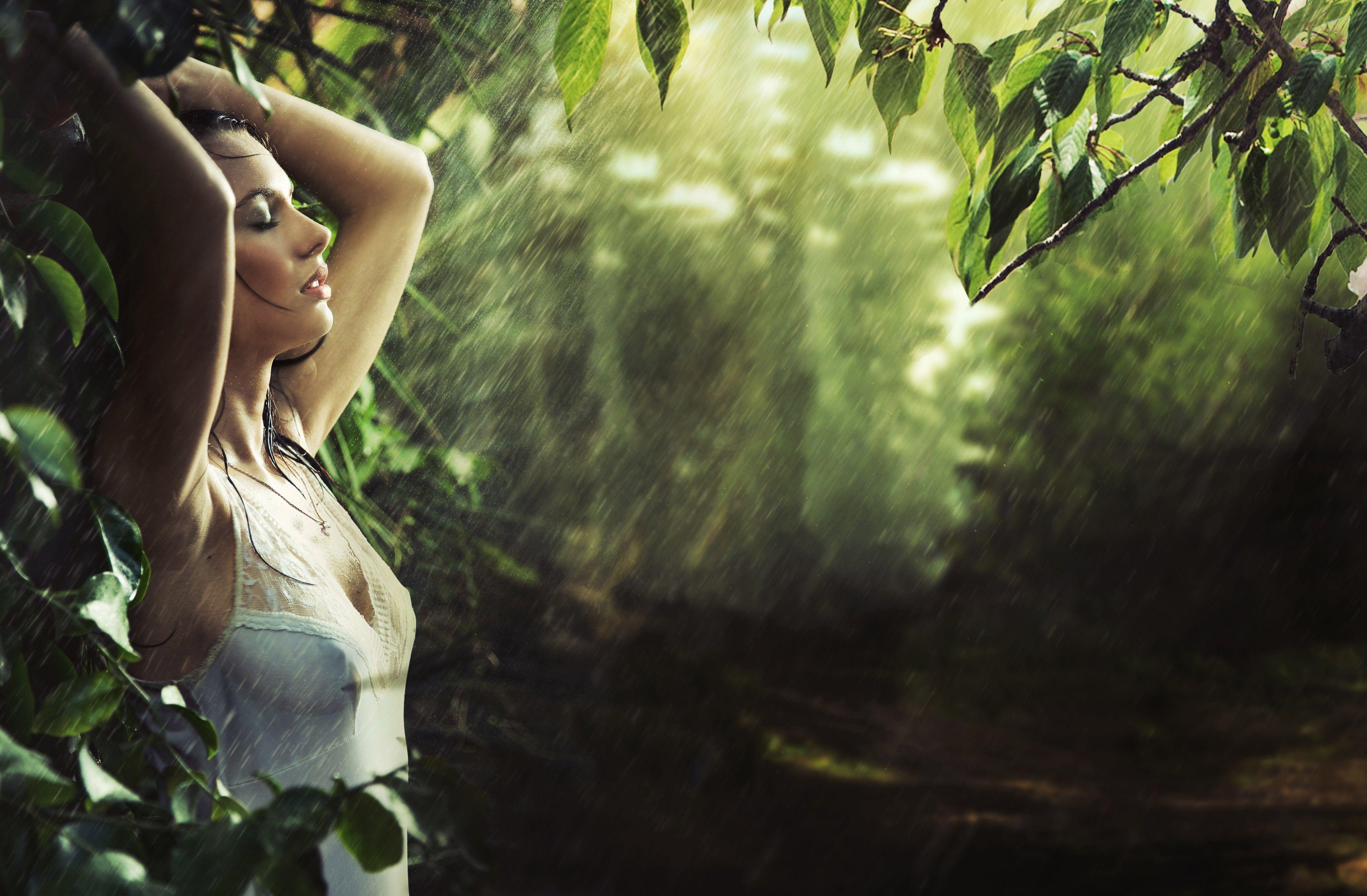 Jungle Rain Wallpapers Top Free Jungle Rain Backgrounds Images, Photos, Reviews