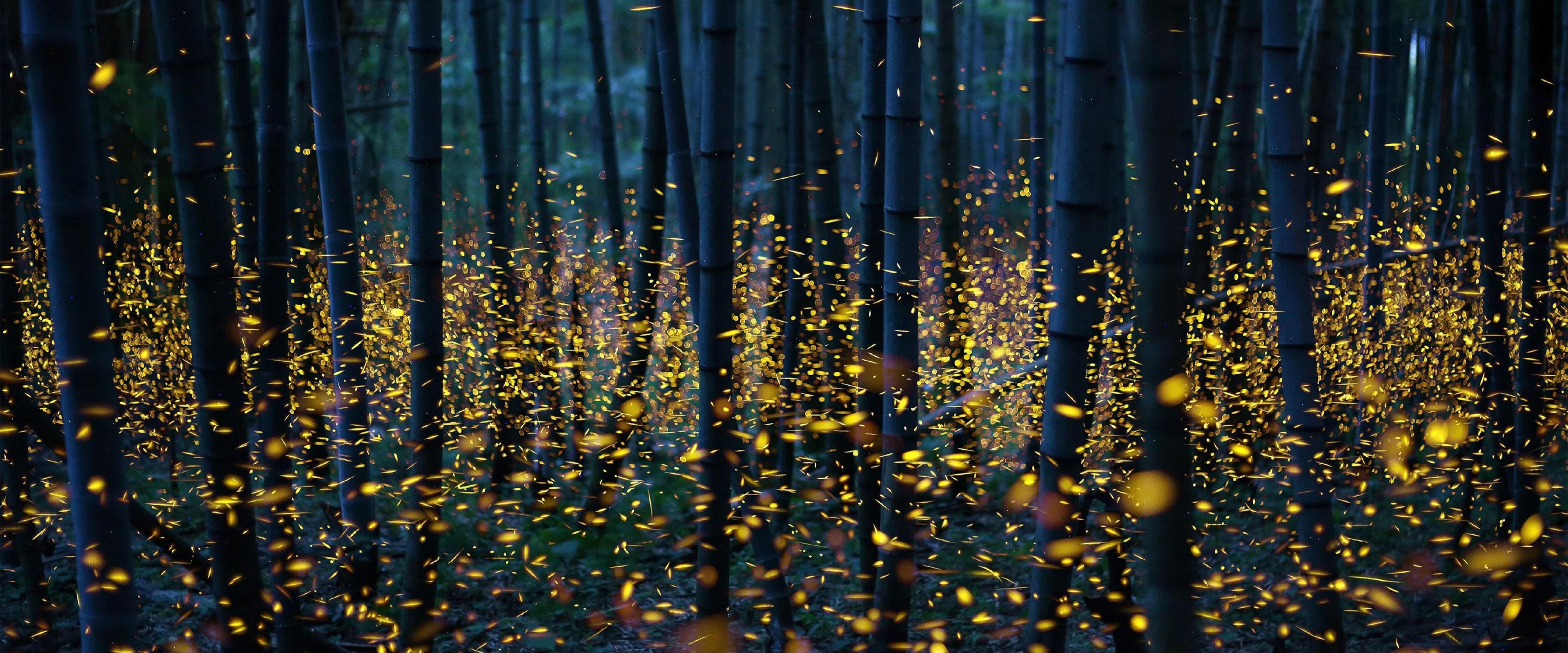 3840x1600 Colorful Nature Wallpaper:3840x1600