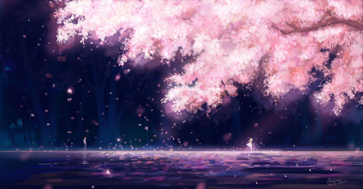 anime scenery cherry blossoms wallpaper