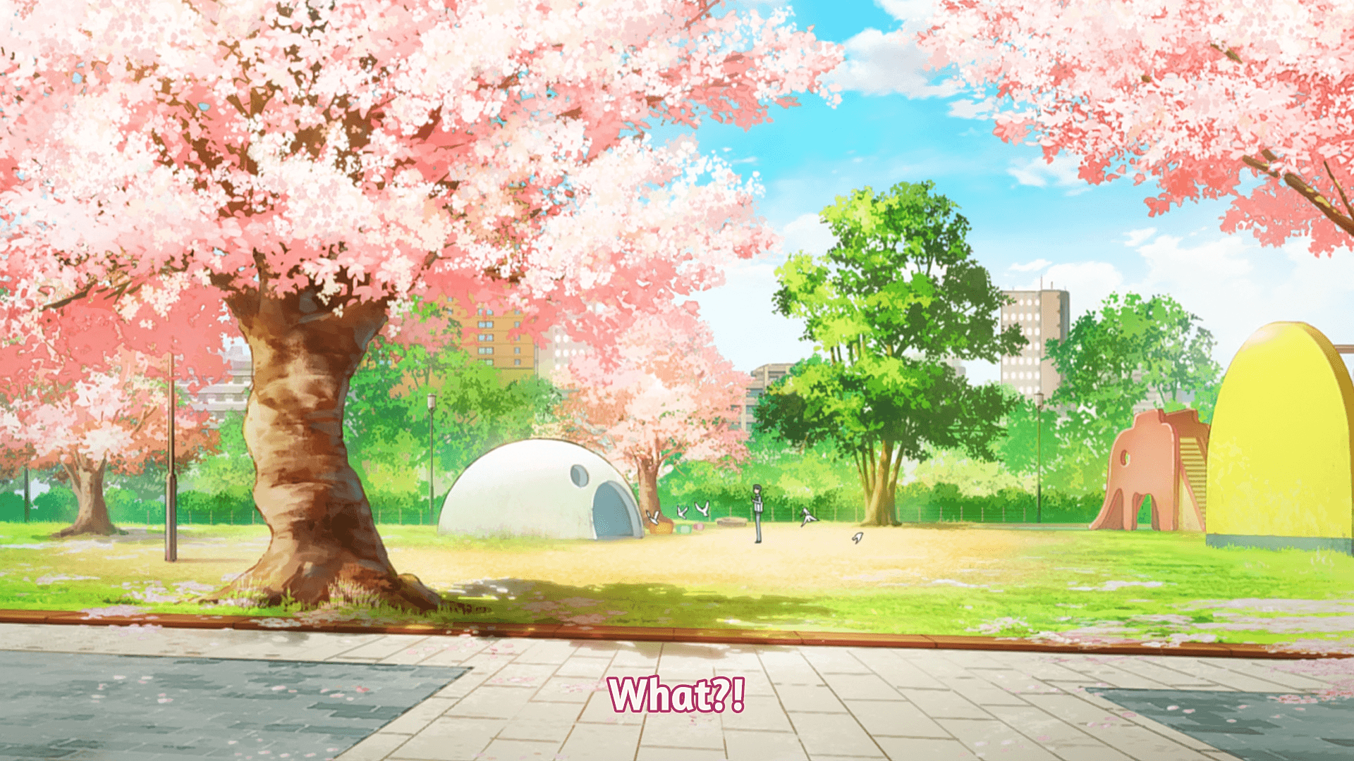 Your Lie in April Cherry Blossoms Wallpapers - Top Free Your Lie in
