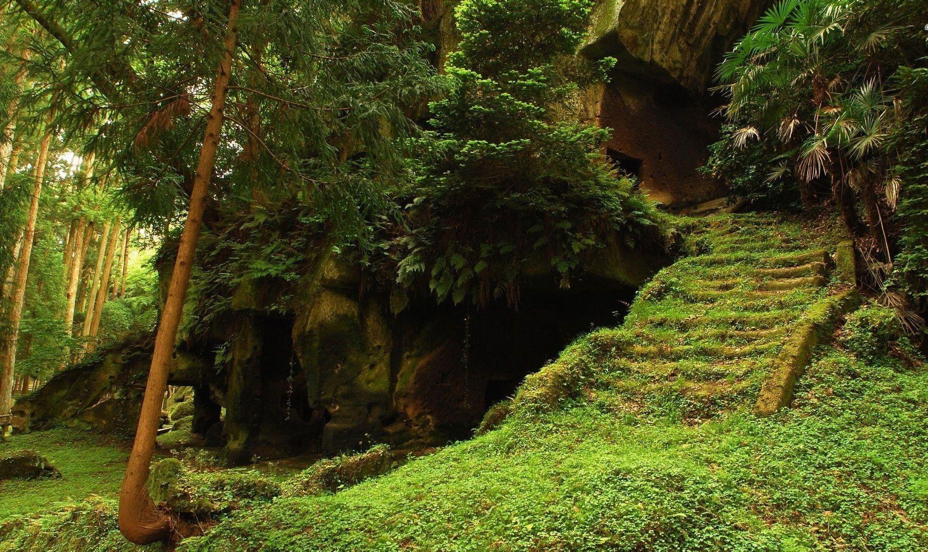 1812x1079 Hidden Forest Stairs Wallpaper