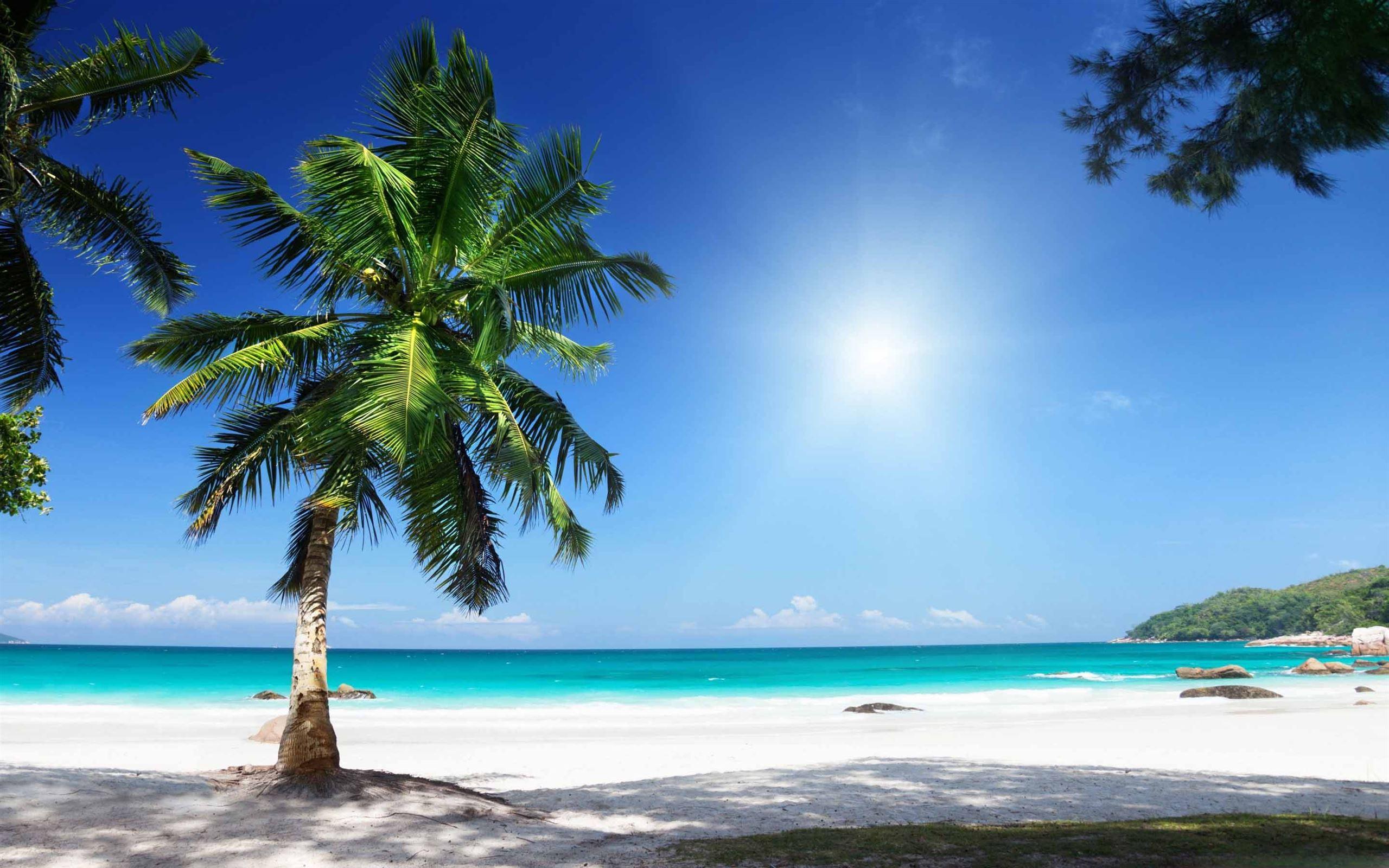 2560x1600 Best Sunny Mac Wallpaper Free HD Download