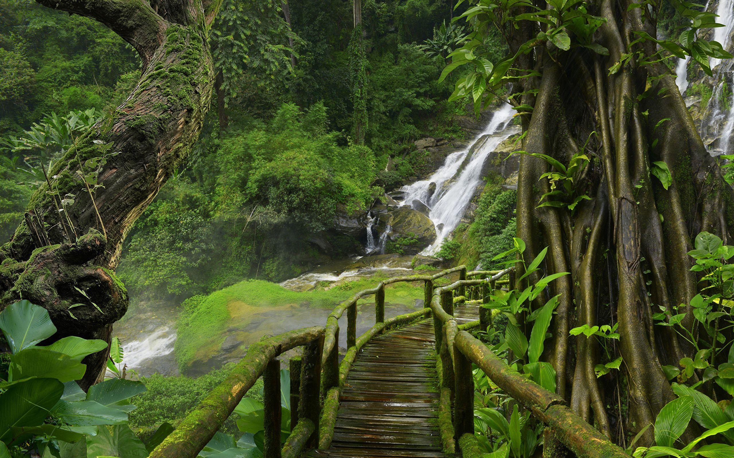 2560x1600 Wallpaper Thailand Jungle Nature Bridges Waterfalls 2560x1600