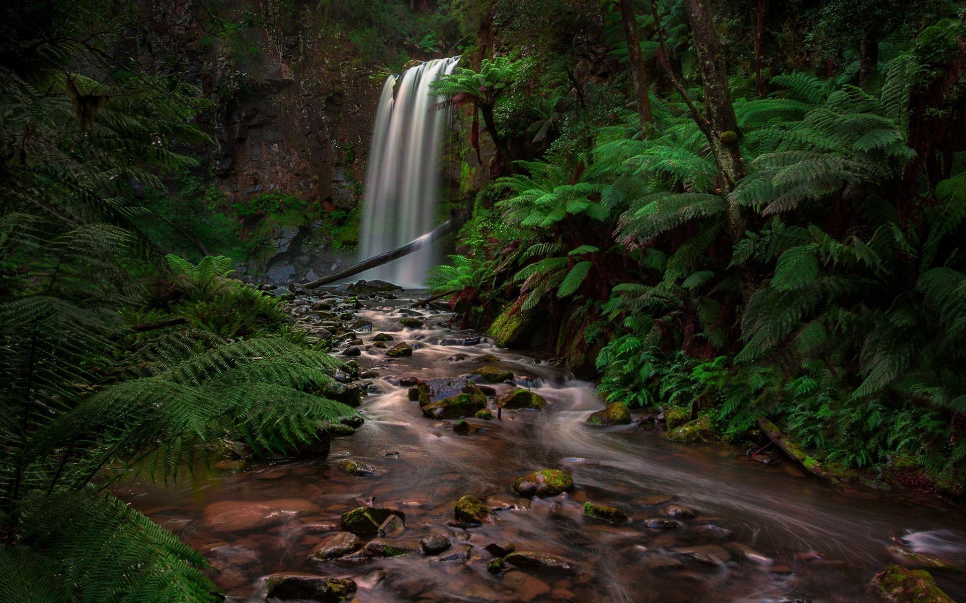 1920x1200 Download wallpaper waterfall, rain forest, jungle, fern, Australia