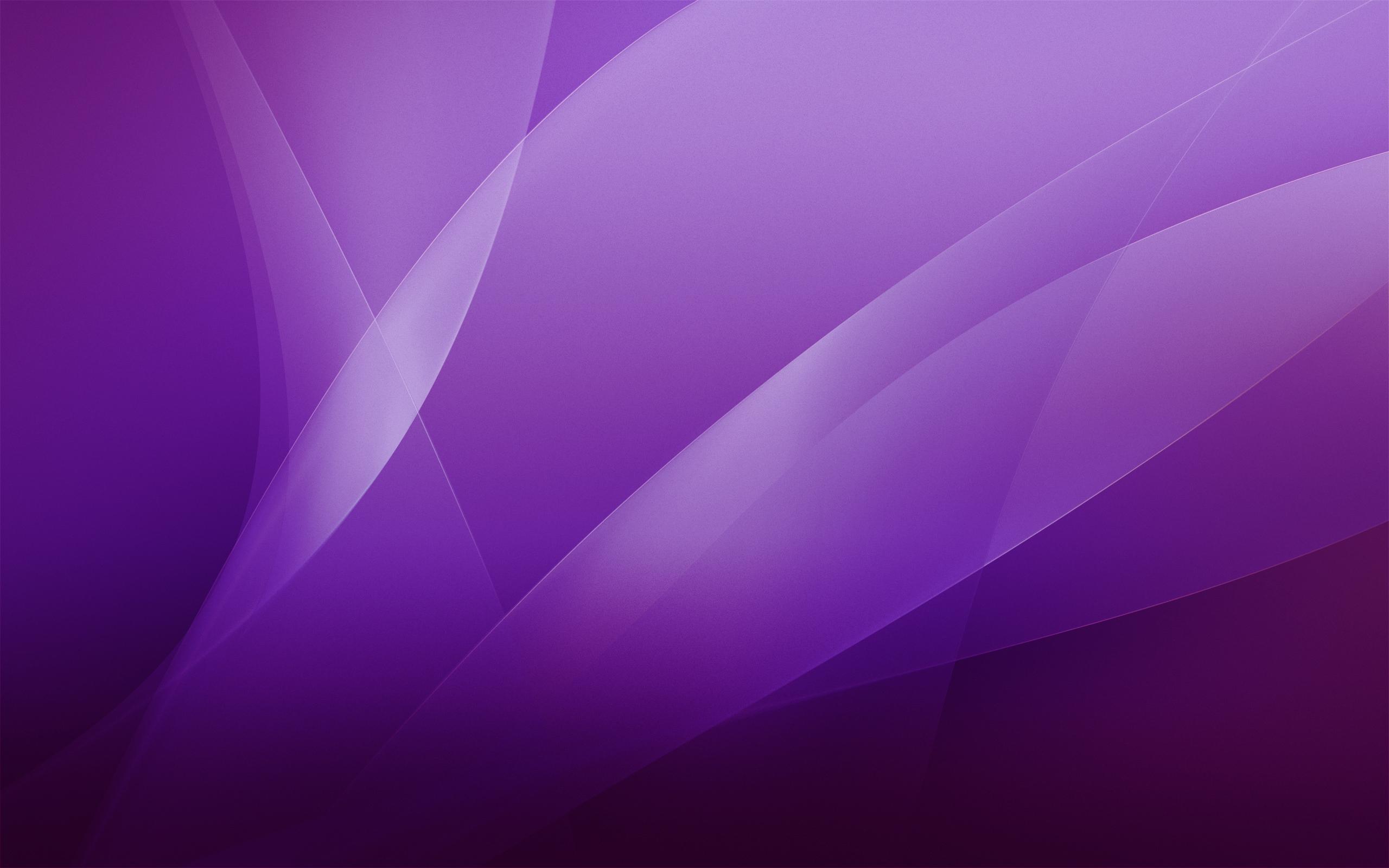 2560x1600 Purple Background Image