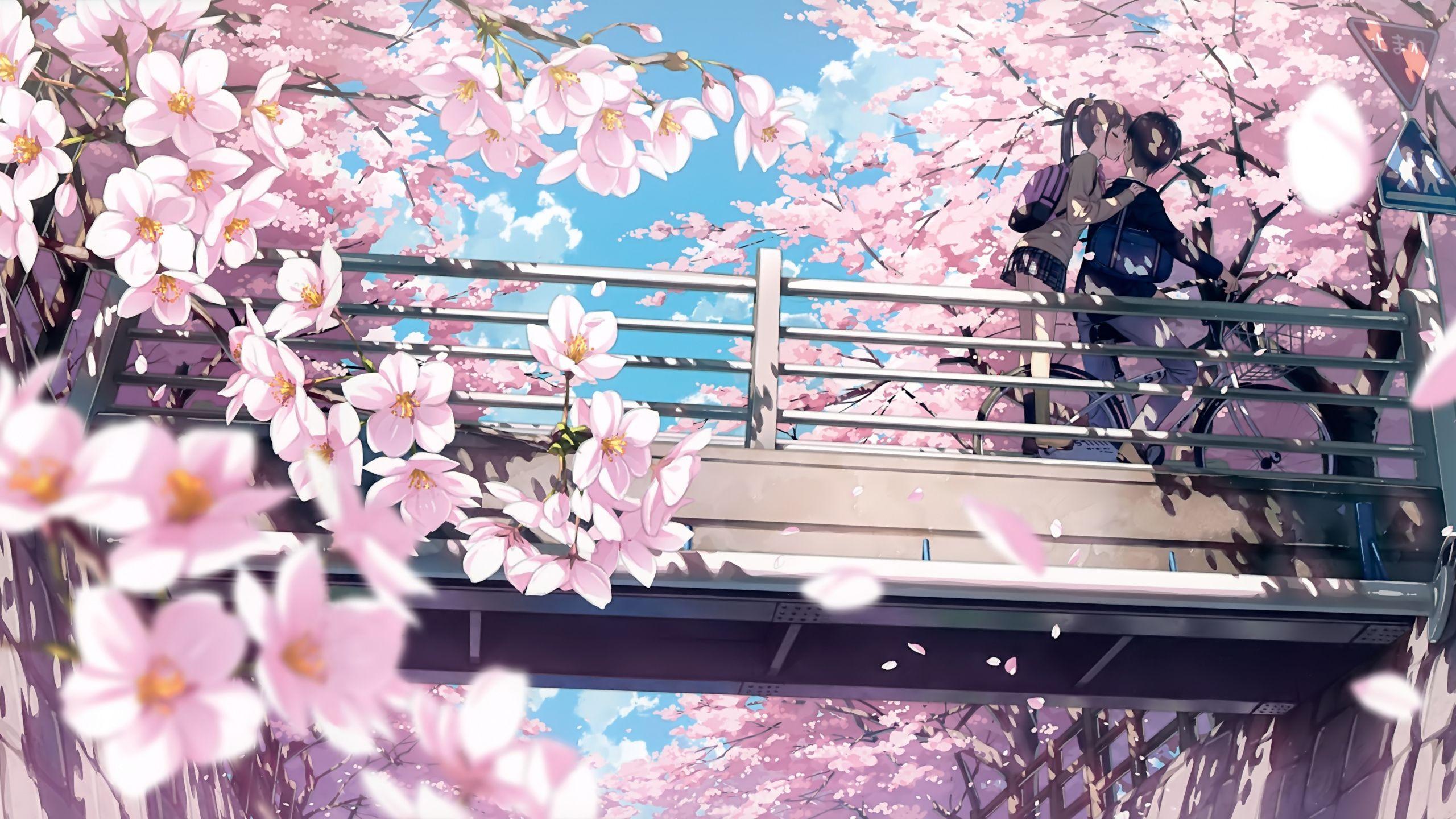 Your Lie in April Cherry Blossoms Wallpapers - Top Free ...