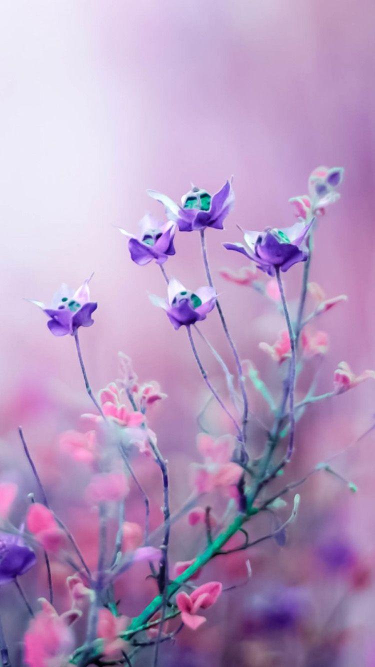 750x1334 Flower iPhone Wallpaper