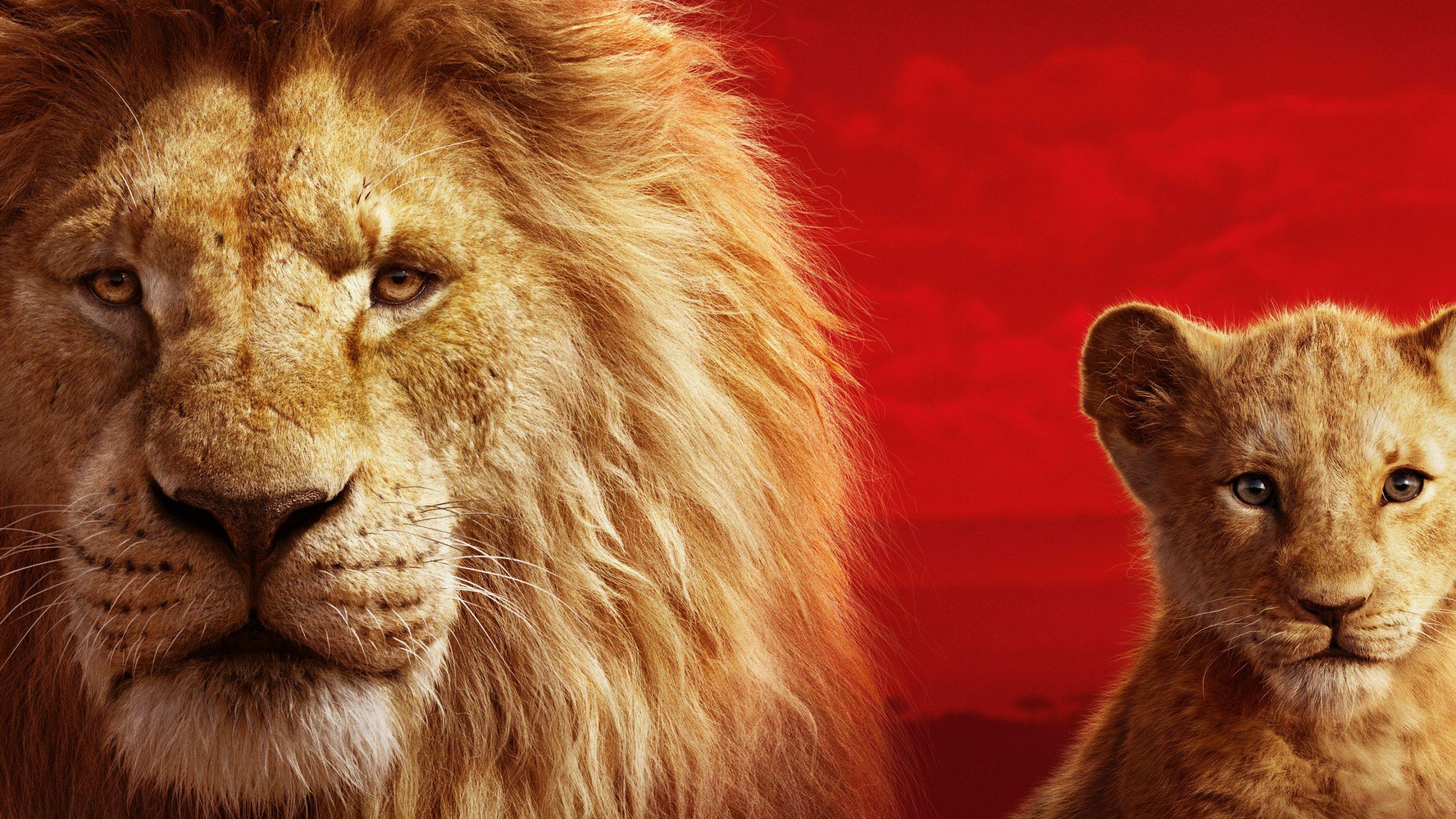 2560x1440 Mufasa The Lion King 2019