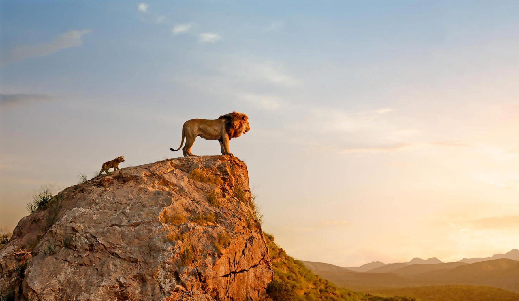 1800x1046 The Lion King HD
