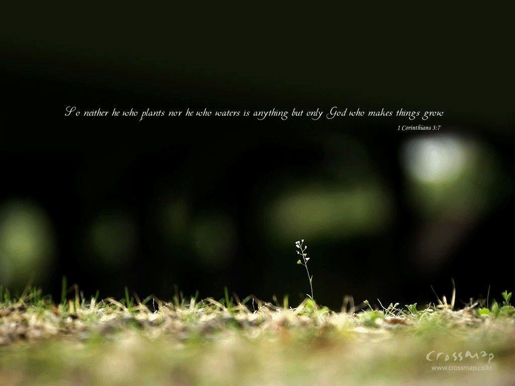 1024x768 Bible Quote Wallpaper