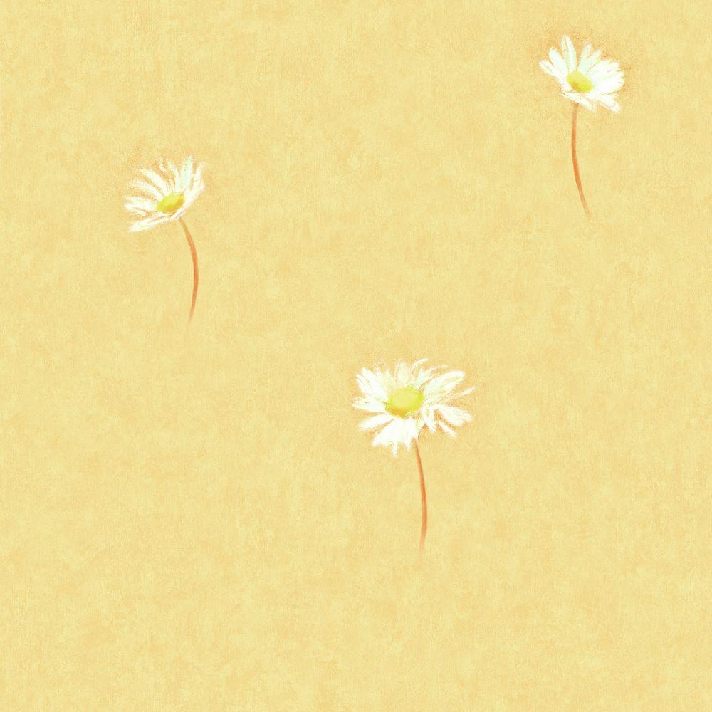 Yellow Daisies Wallpapers - Top Free Yellow Daisies Backgrounds