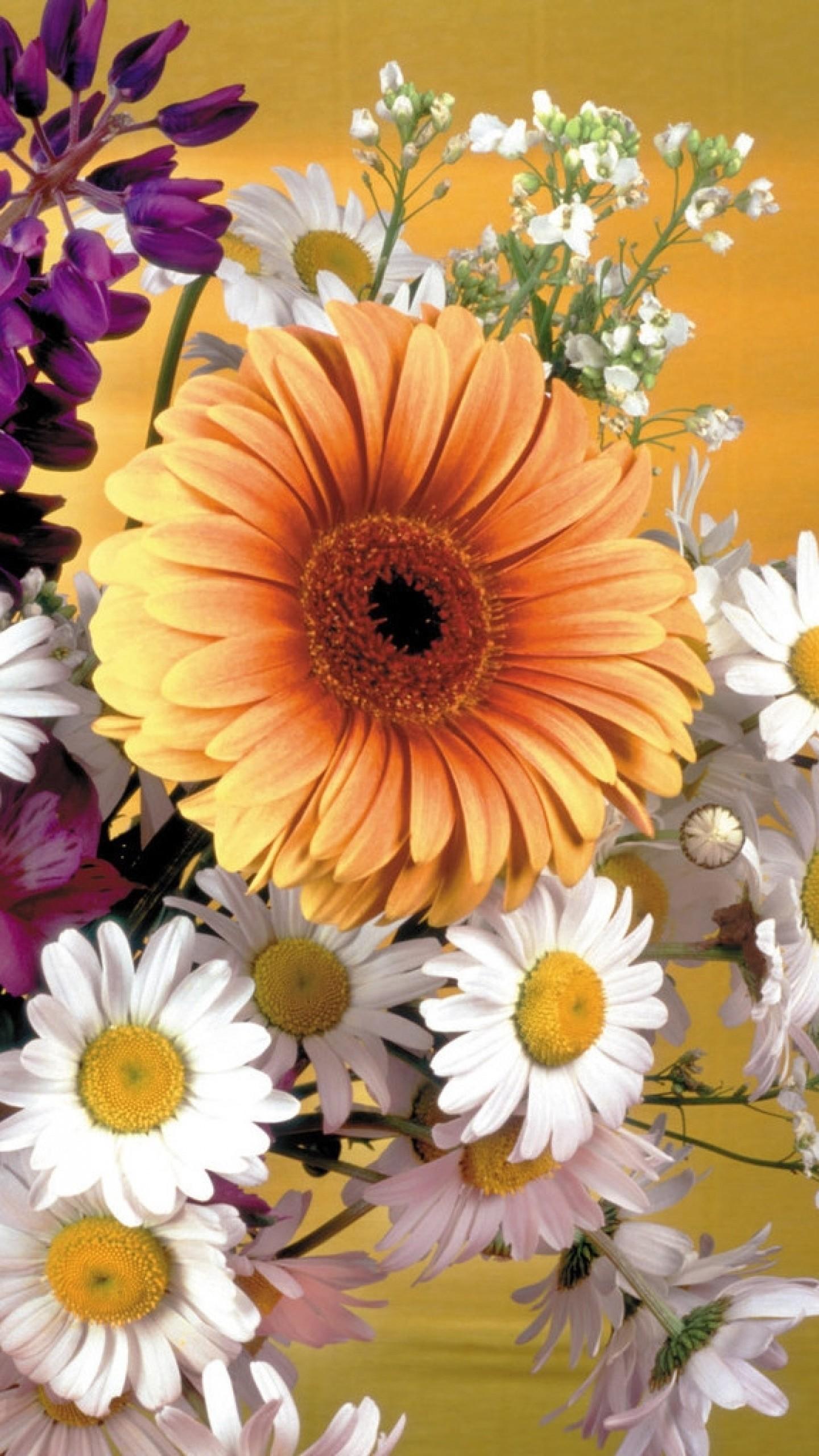 1440x2560 23++ Yellow Daisy iPhone Wallpaper