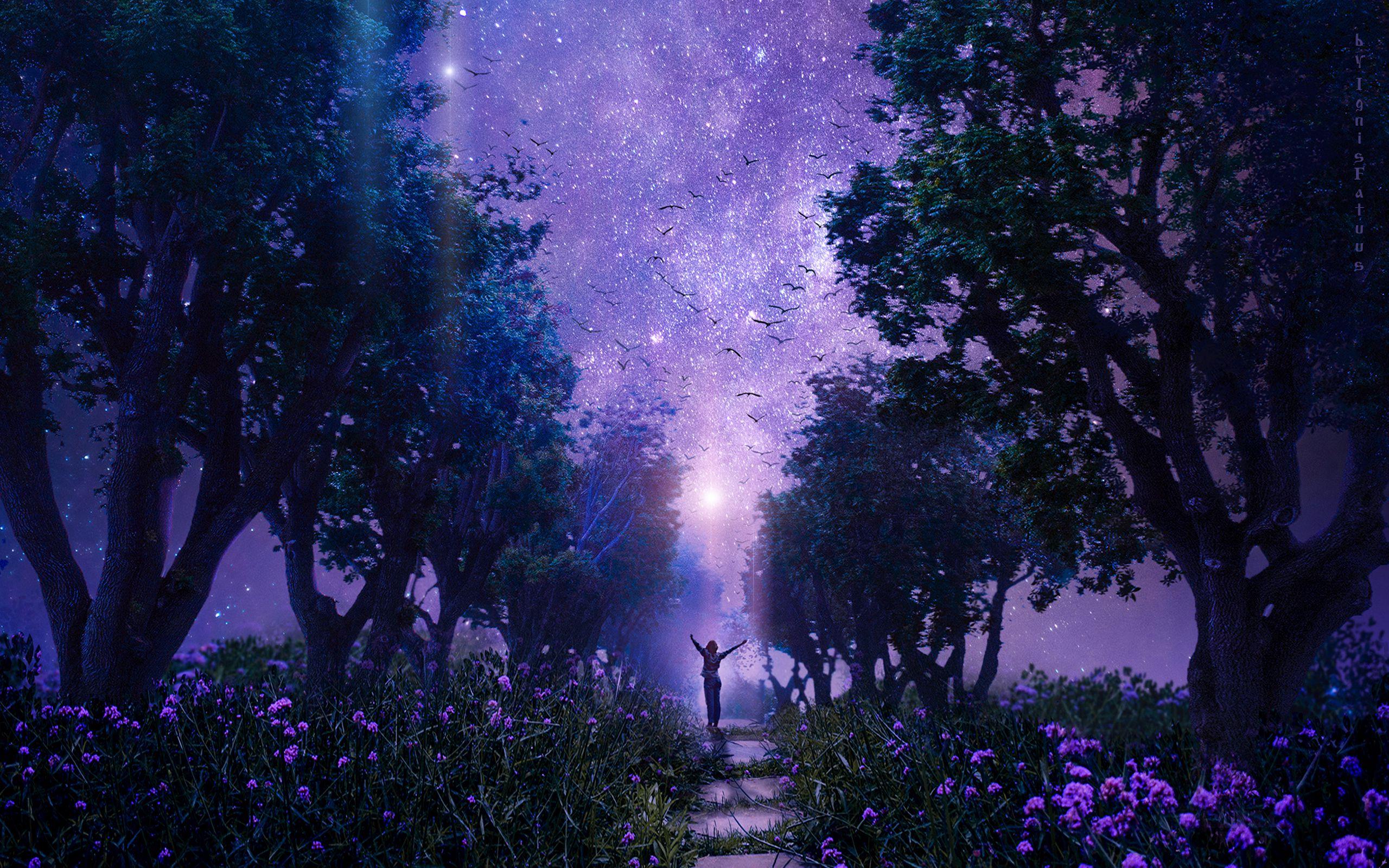 2560x1600 Lavender Forest Wallpaper and HD Background free download on PicGaGa