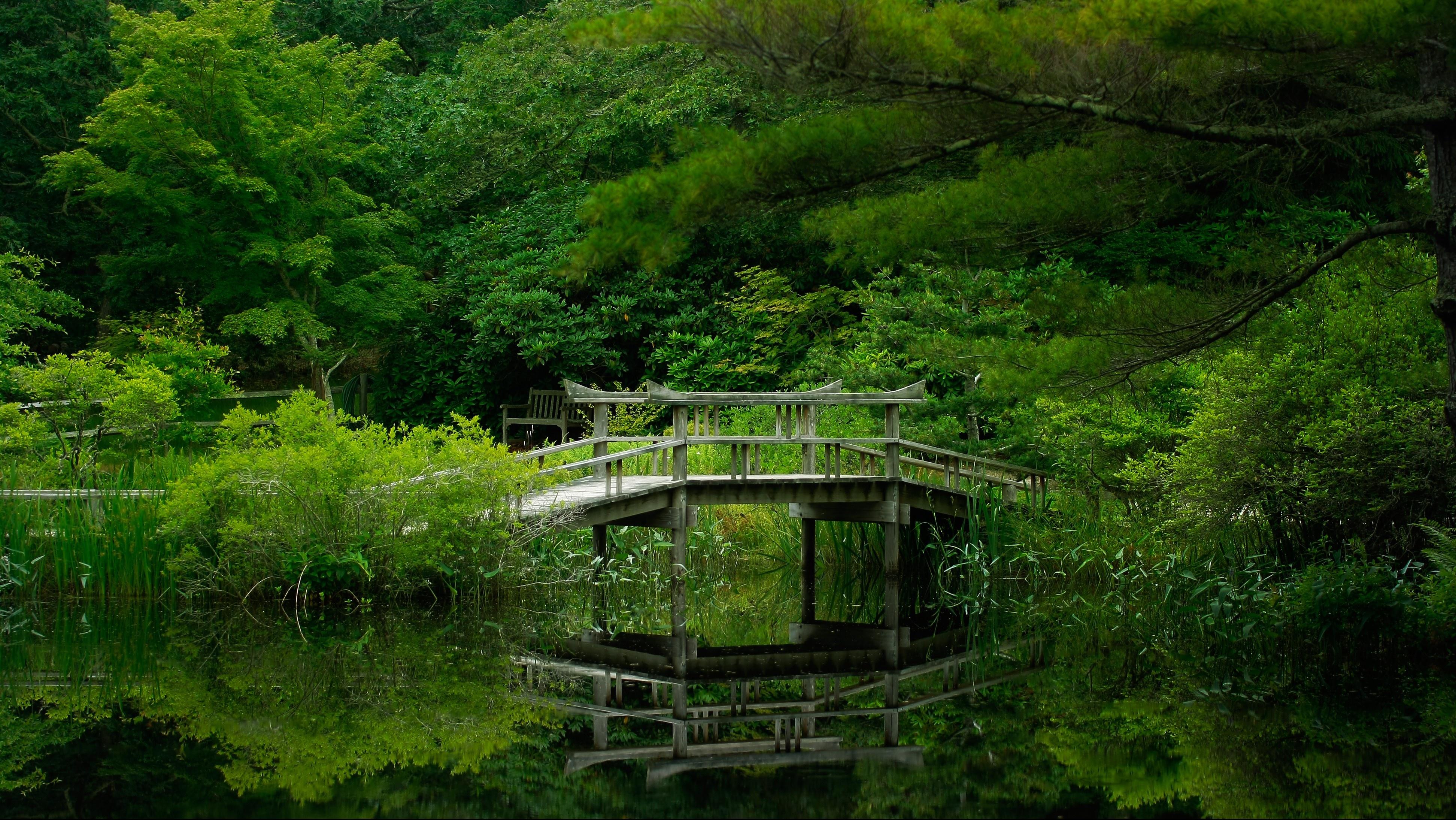 3888x2189 Lake forest bridge nature garden reflection wallpaperx2189