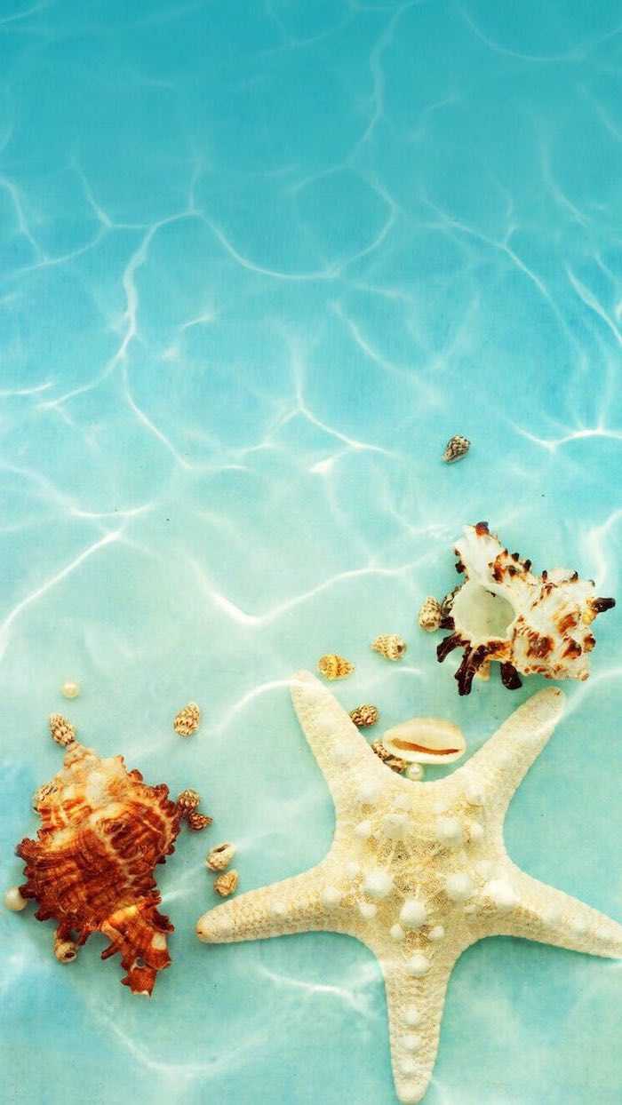 700x1244 Summer Aesthetic Wallpaper iphone Wallpaper