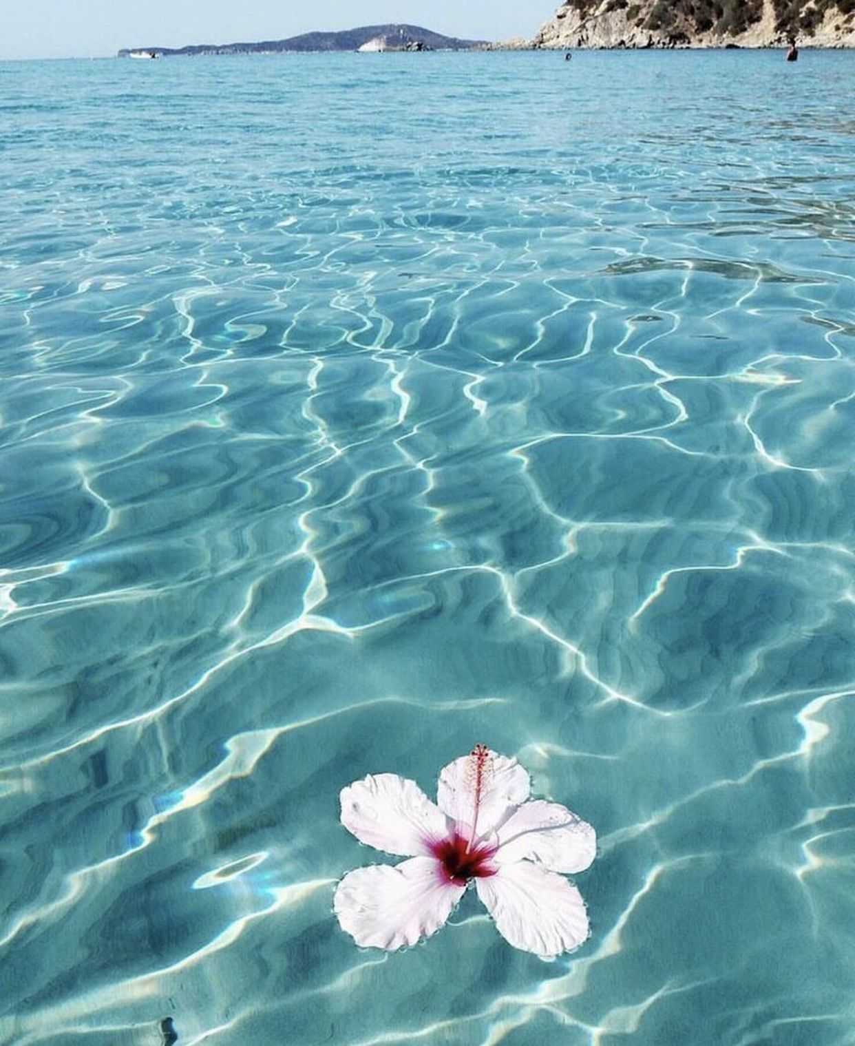 1242x1519 Summer Aesthetic Wallpaper iphone Wallpaper