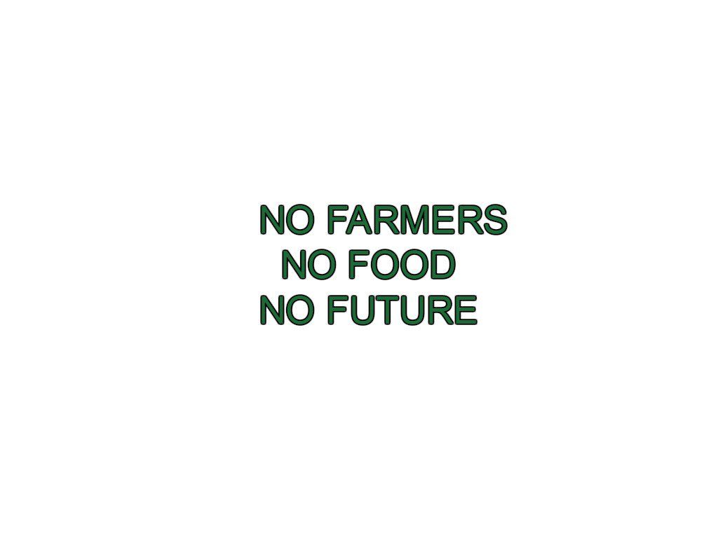1024x768 No Farmers No Food No Future Wallpaper