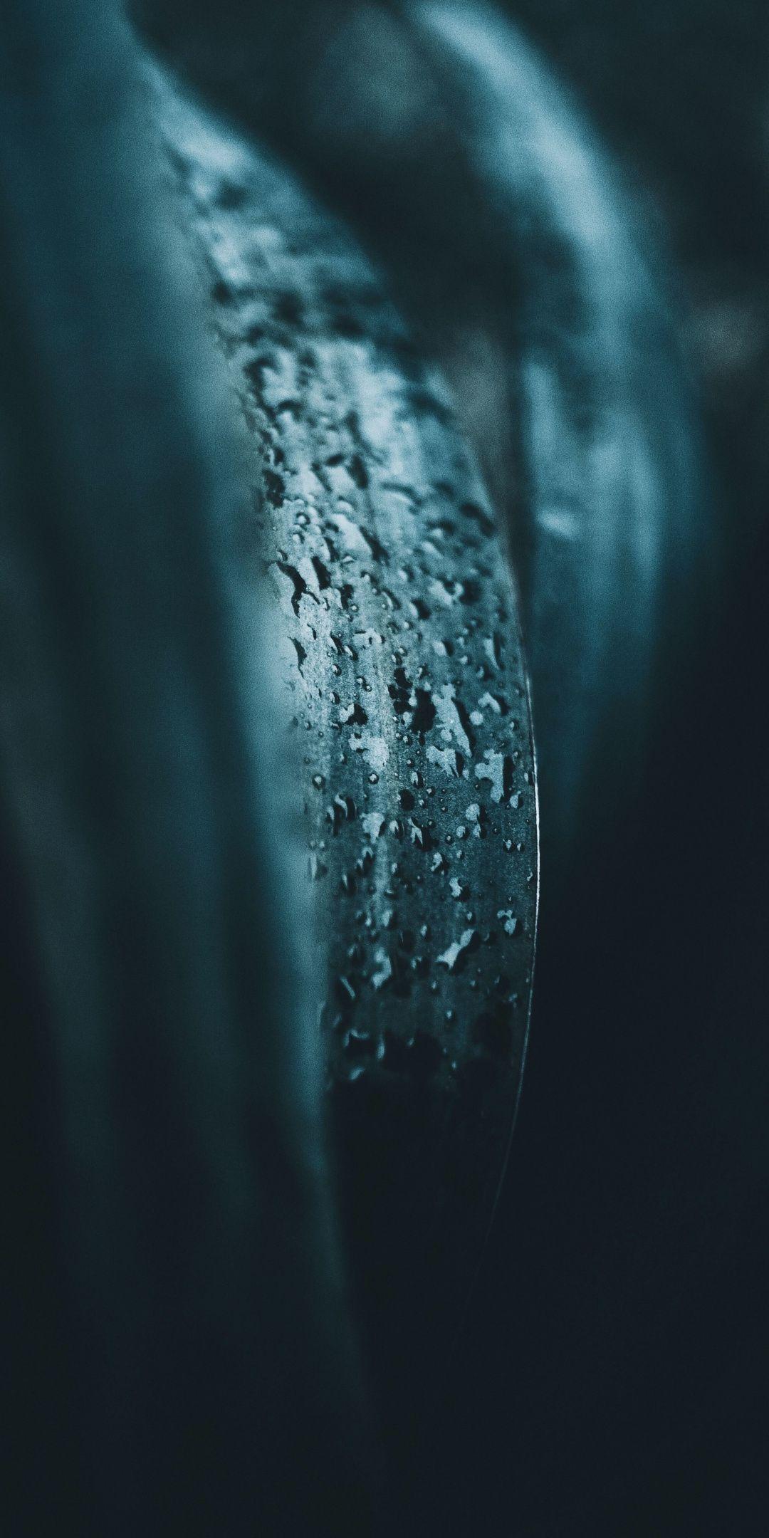 1080x2160 Leaf, dark, drops, portrait, 1080x2160 wallpaper. Teal wallpaper iphone, Wallpaper, Teal wallpaper