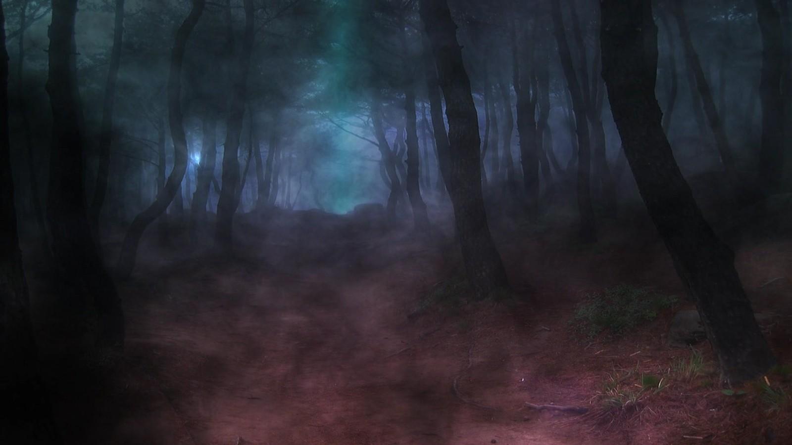 1600x900 dark, Wood, Forests, Paths Wallpaper HD / Desktop and Mobile Background