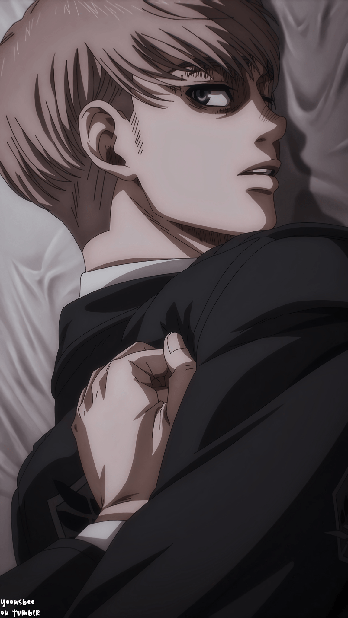 1152x2048 aot wallpaper