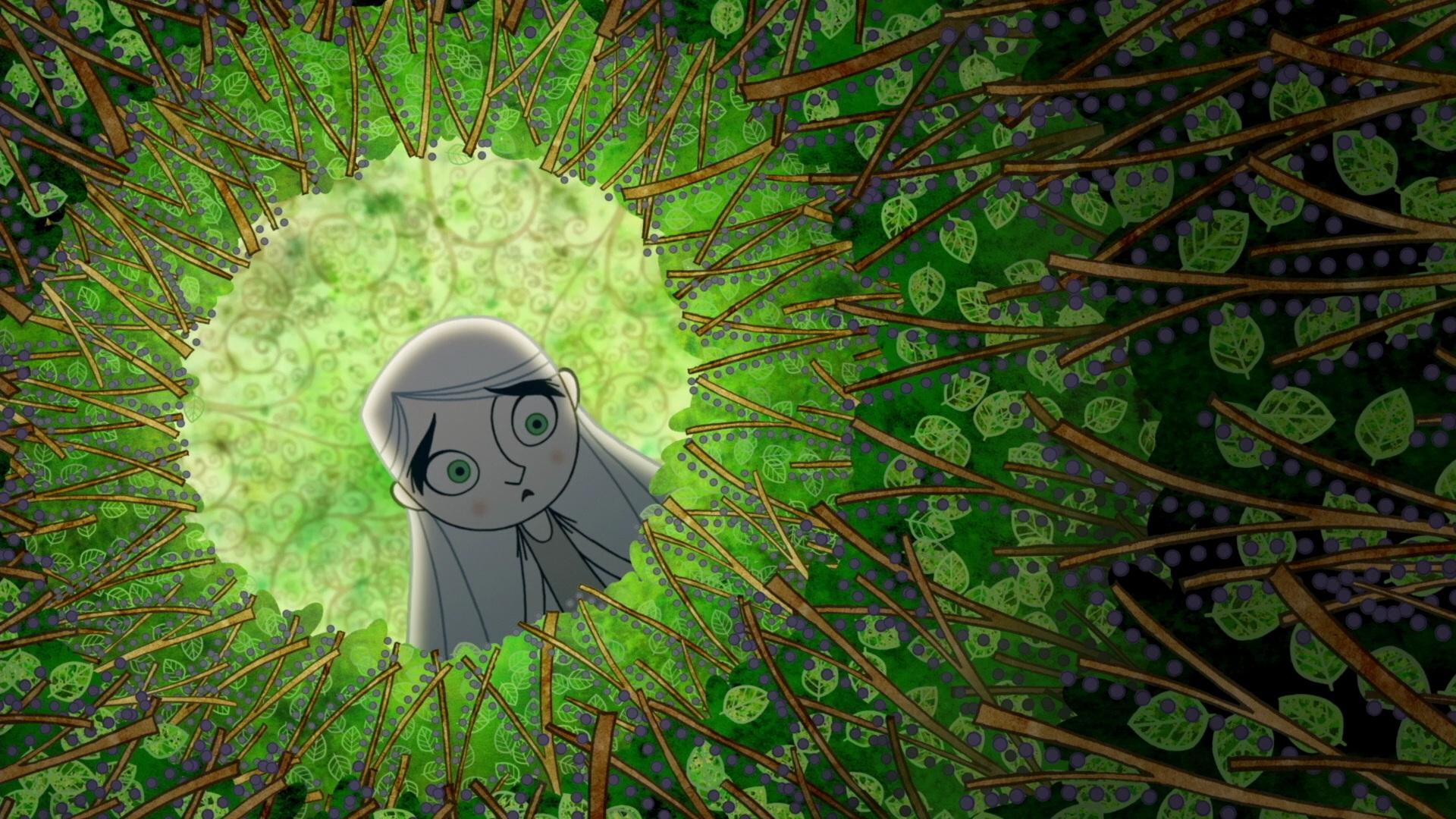 1920x1080 The Secret Of Kells HD Wallpaper