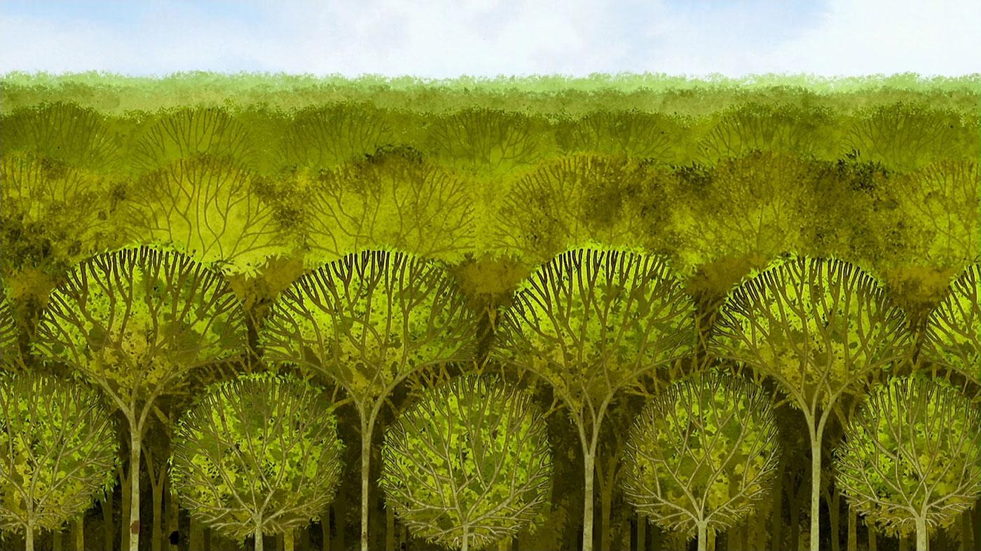 1400x786 Living Lines Library: The Secret of Kells (2009) Design / Background: In Forest & Others