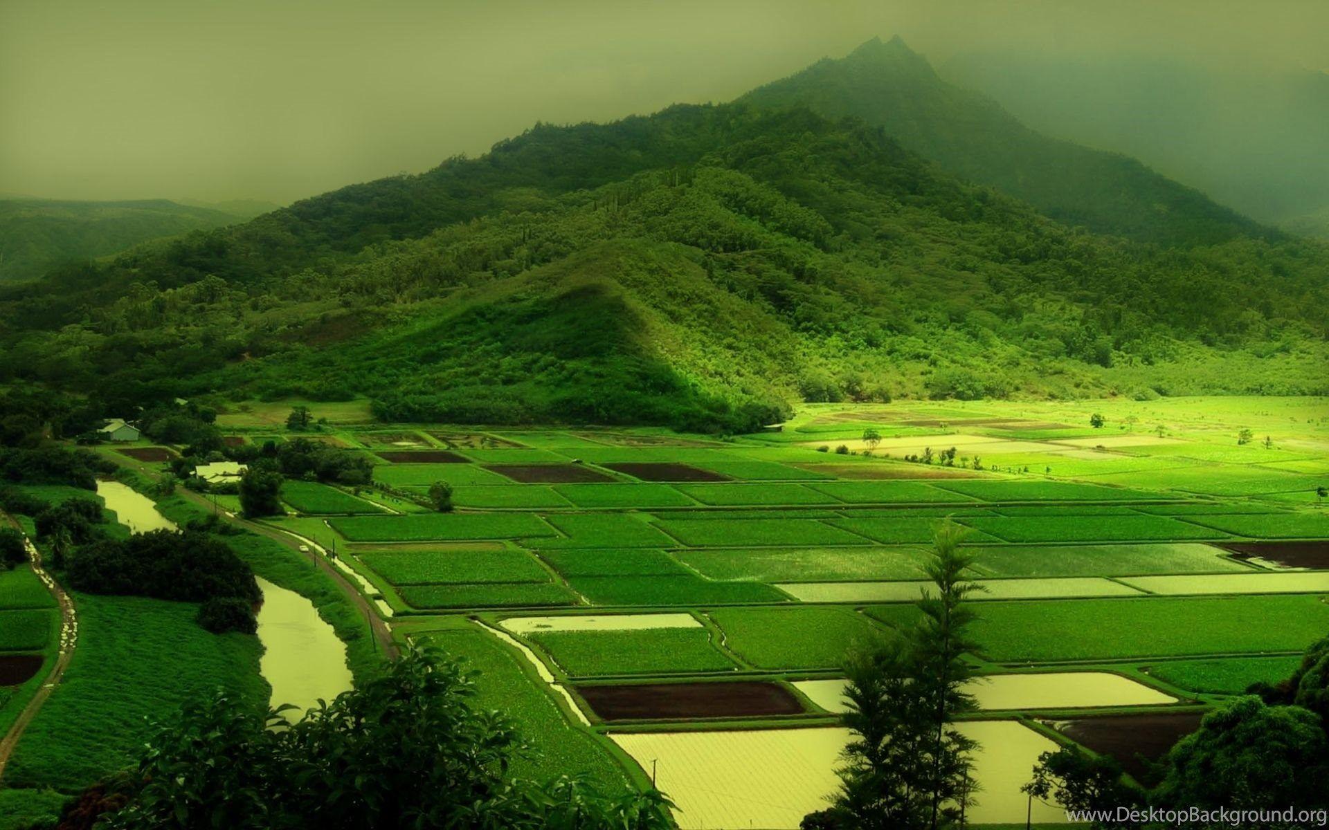 1920x1200 Irish Landscape Wallpaper Desktop Background