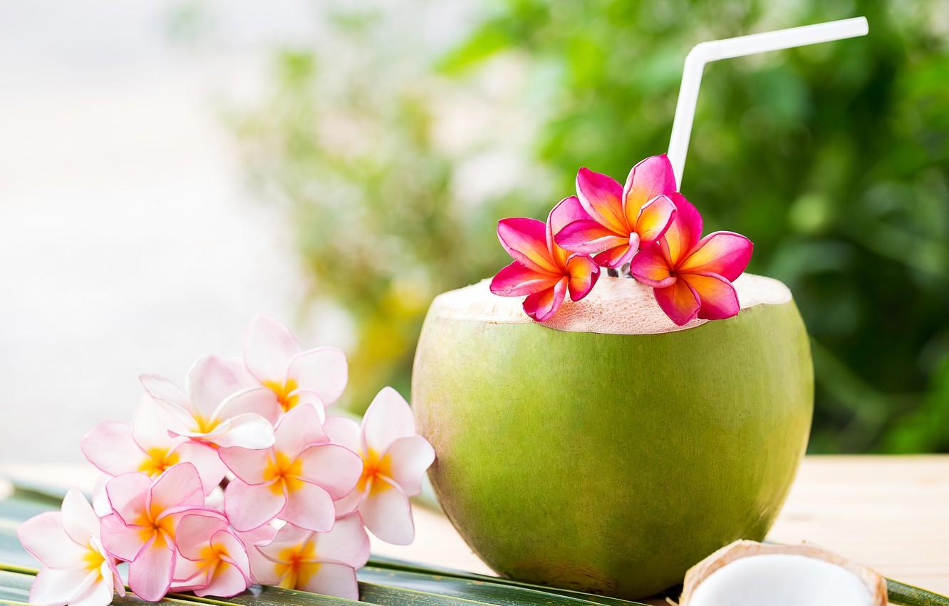 1332x850 Wallpaper beach, summer, stay, coconut, cocktail, summer, beach, vacation, flowers, drink, coconut, vacation, plumeria, tropical, plumeria image for desktop, section еда