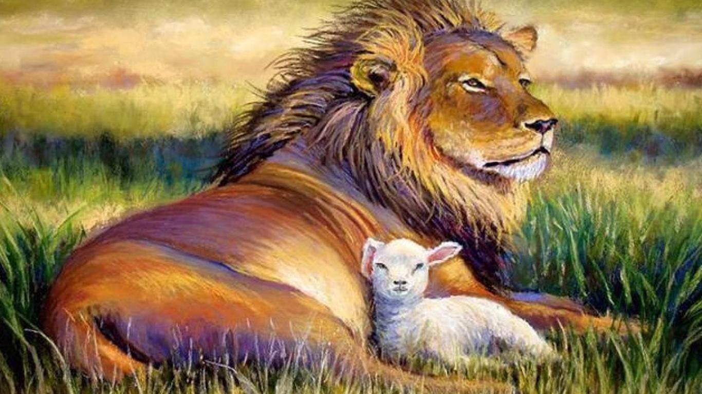 Lion and Lamb Wallpapers  Top Free Lion and Lamb Backgrounds   WallpaperAccess