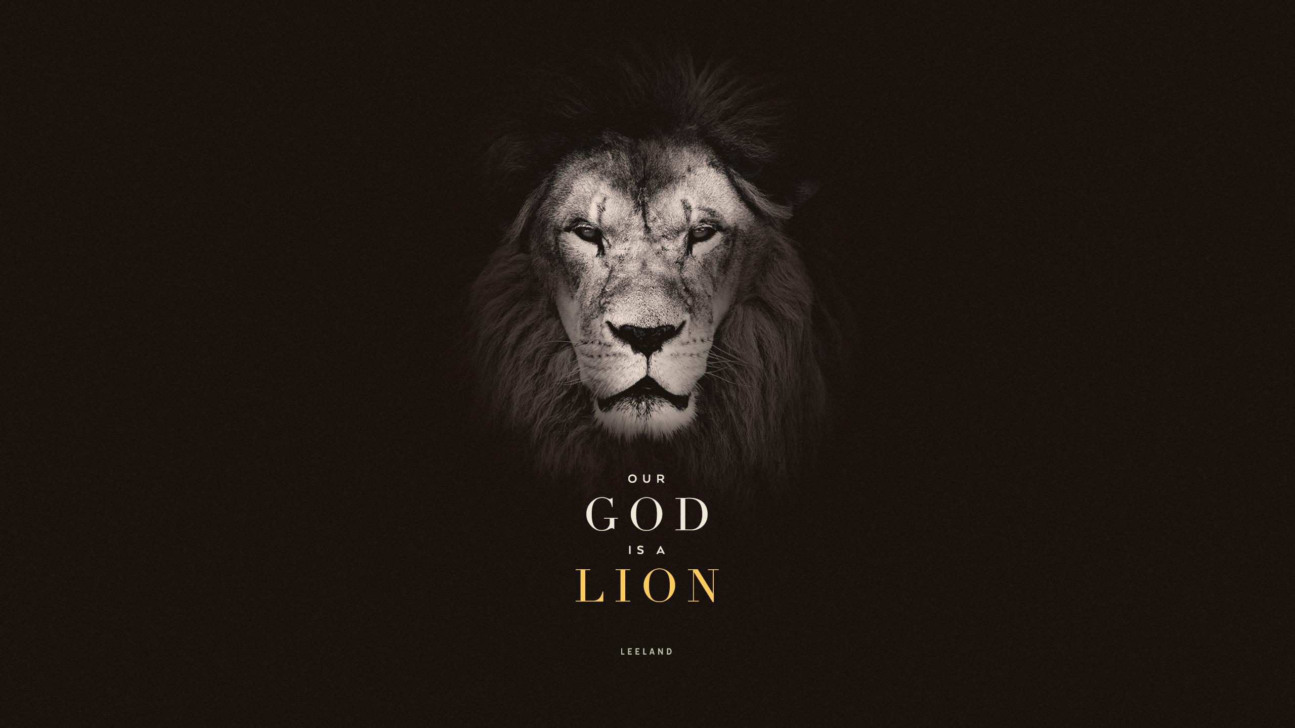 2560x1440 Wednesday Wallpaper: Our God is a Lion