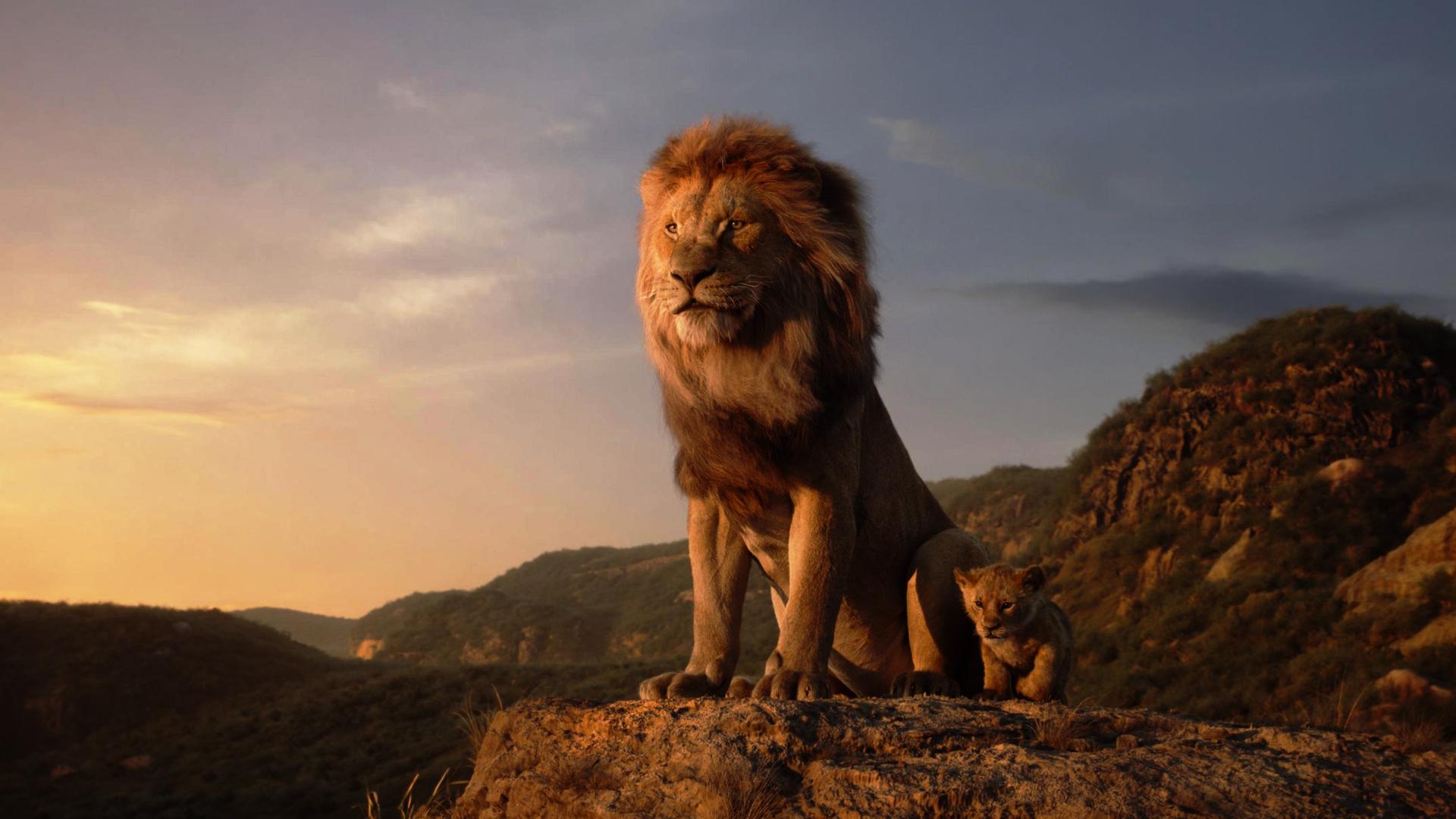 1920x1080 1920x1080 lions lambs wallpaper HD