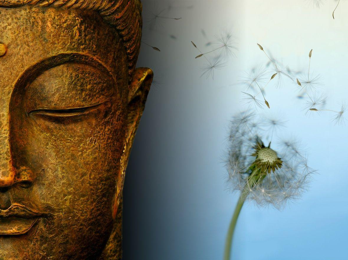 1180x882 Meditation. Sathya Sai Baba, Love & Spirituality