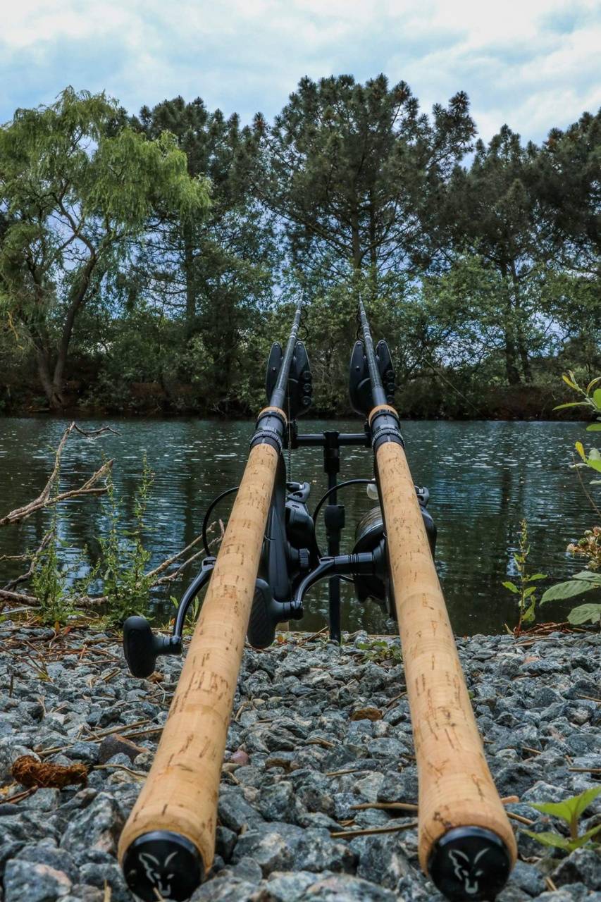 853x1280 Carp Fishing Wallpaper