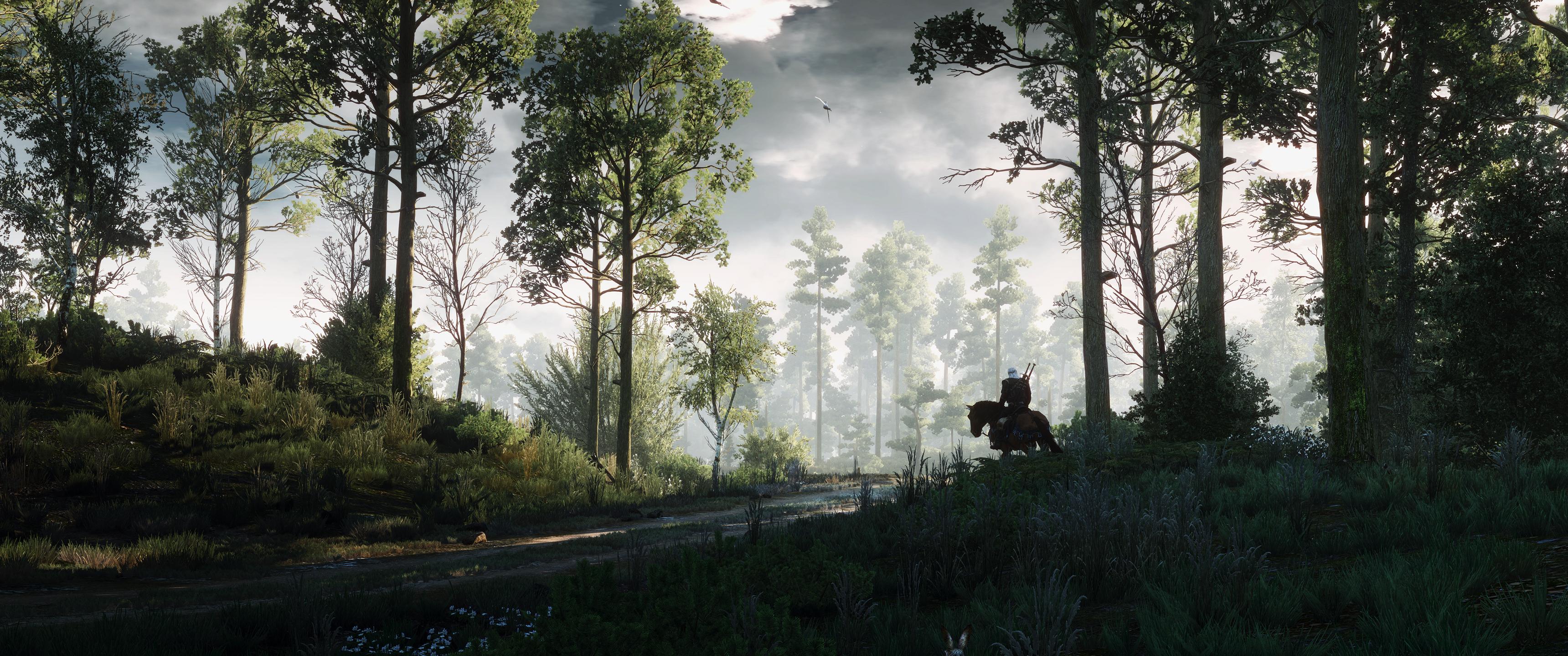 3440x1440 The Witcher 3: Wild Hunt Forest Adventure Wallpaper