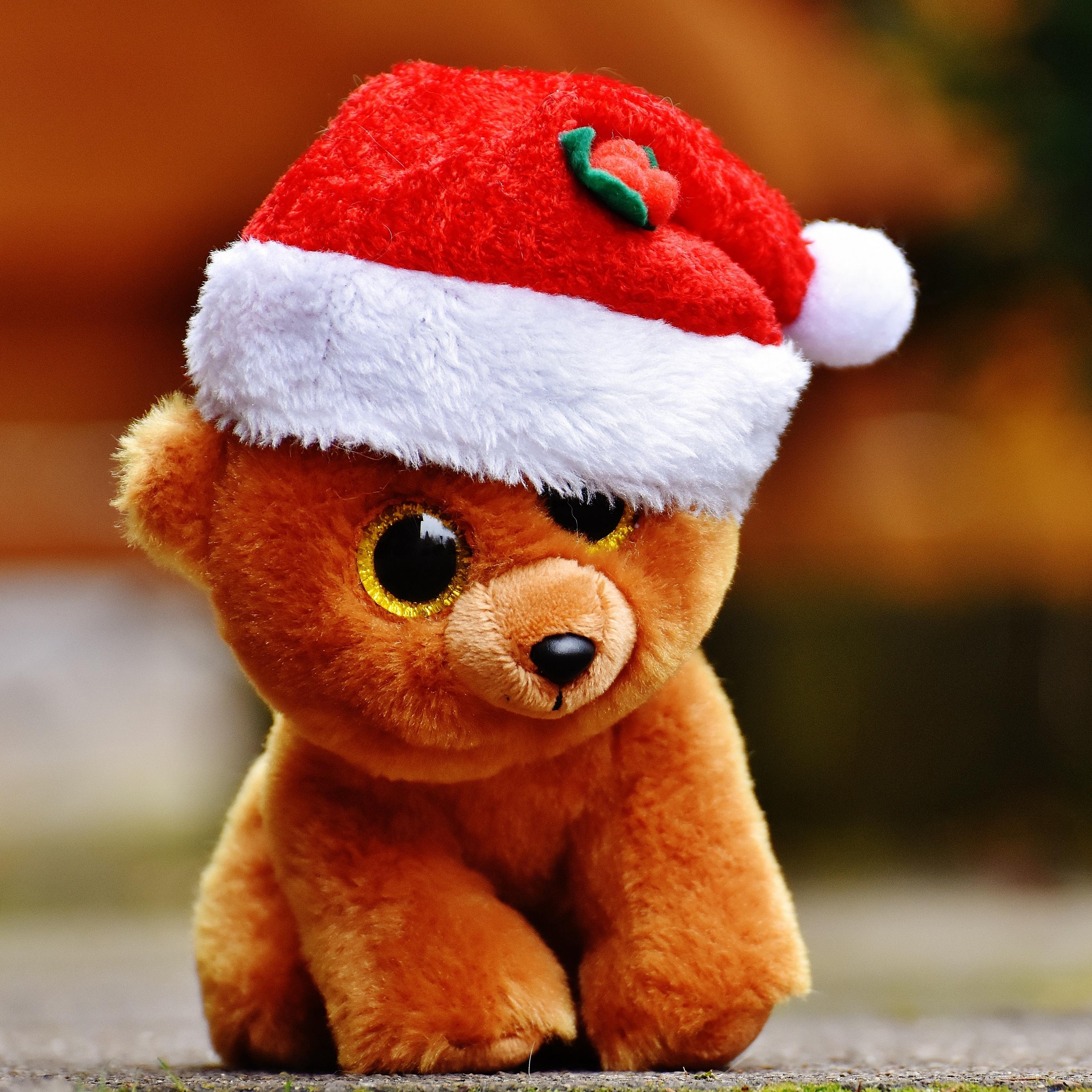 2780x2780 Wallpaper Toy, Teddy Bear, Christmas Teddy Bear Wallpaper HD