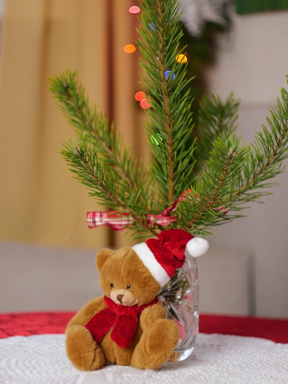 1000x1332 Best Teddy Bear Picture [HD]. Download Free Image