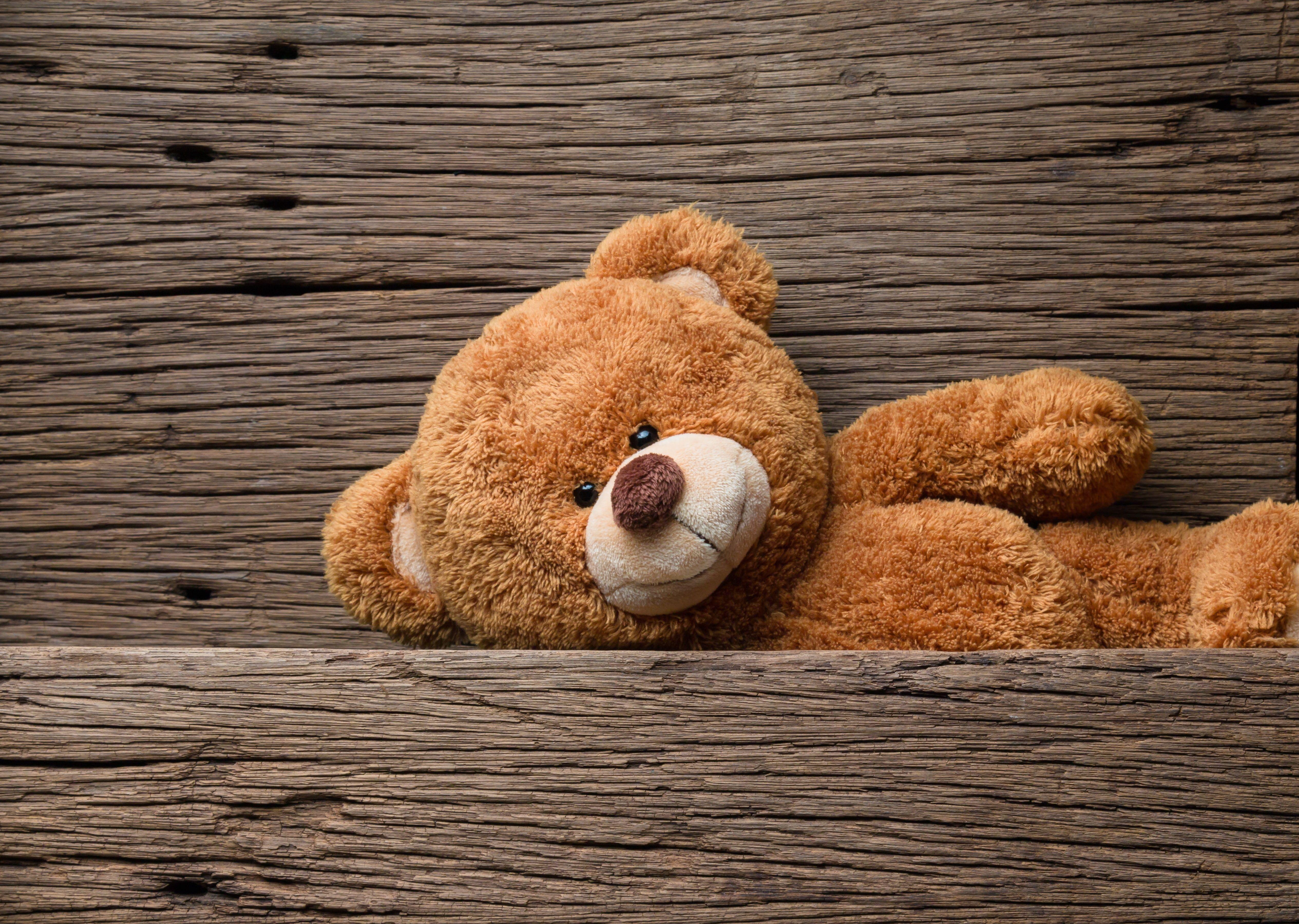 5060x3600 toy #bear #bear #wood teddy bear #cute K #wallpaper #hdwallpaper #desktop. Teddy bear wallpaper, Teddy bear, Teddy bear picture